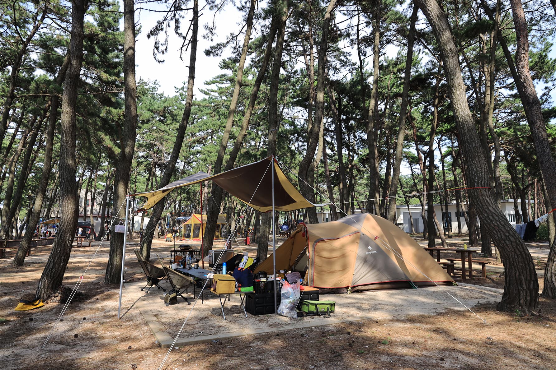 고사포야영장 이미지 2