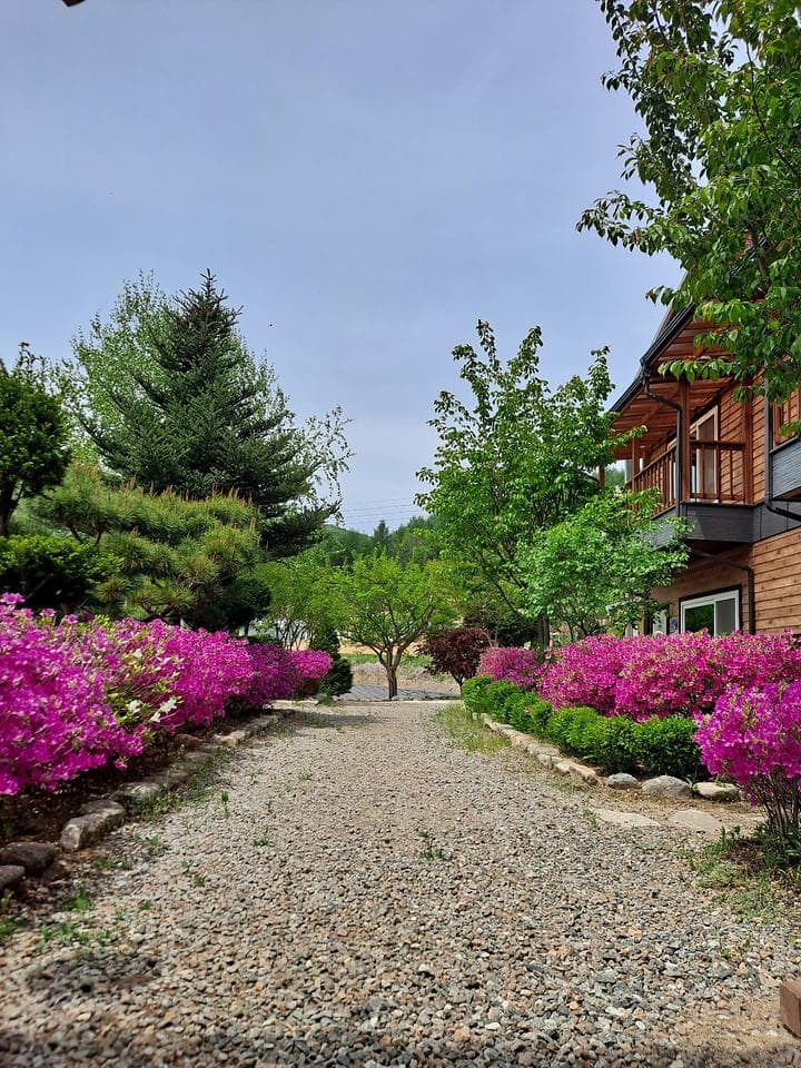 숲속의 정든집 야영장