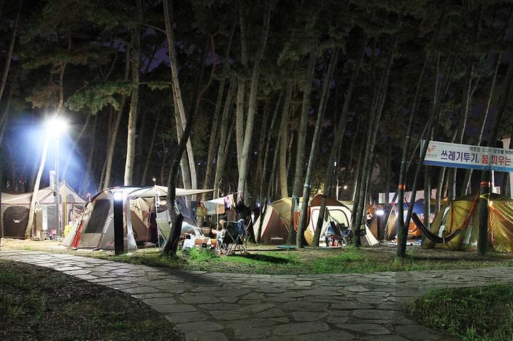 대천해수욕장 야영장