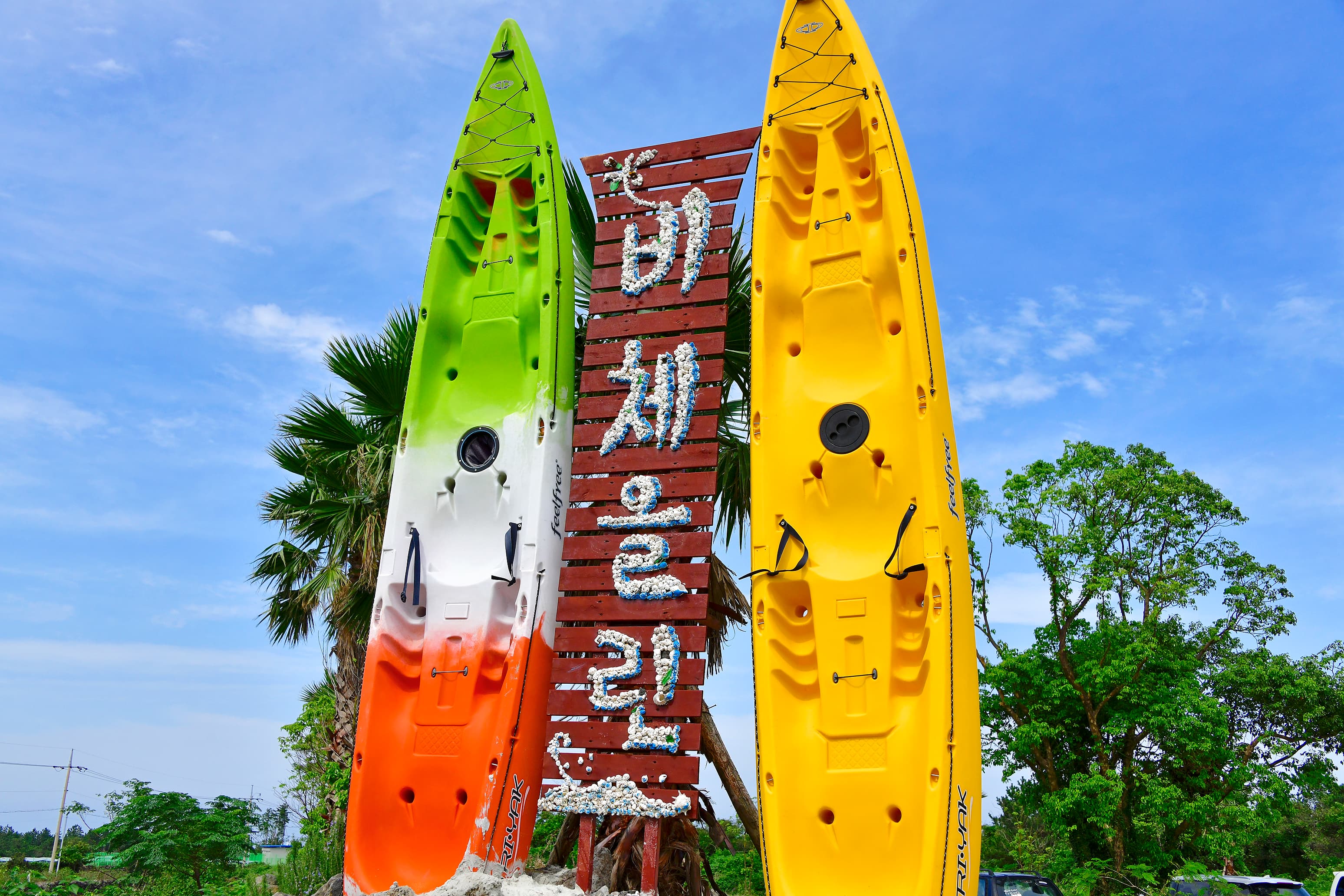 비체올린 이미지 2