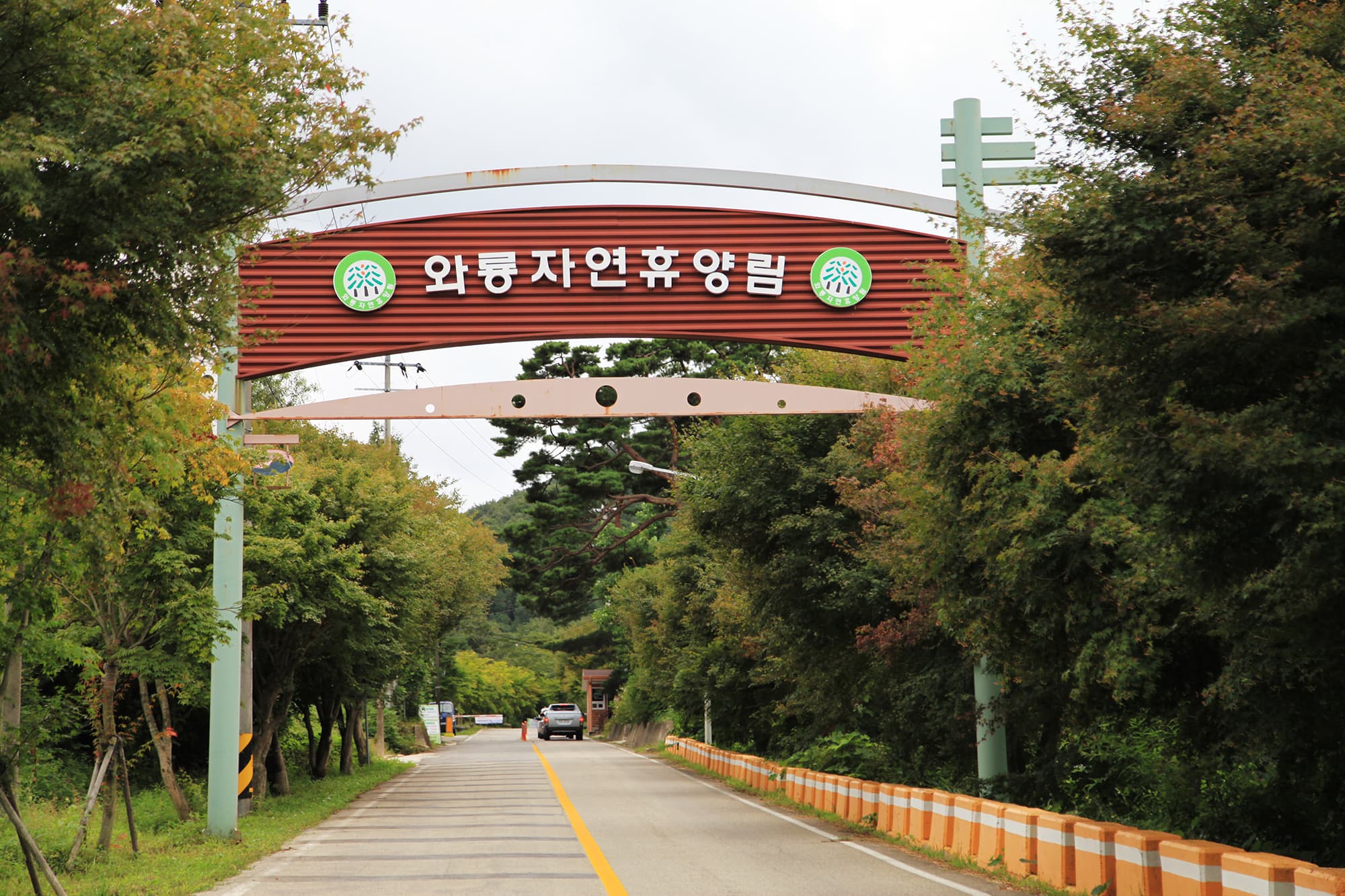 와룡자연휴양림 일반야영장 이미지 2