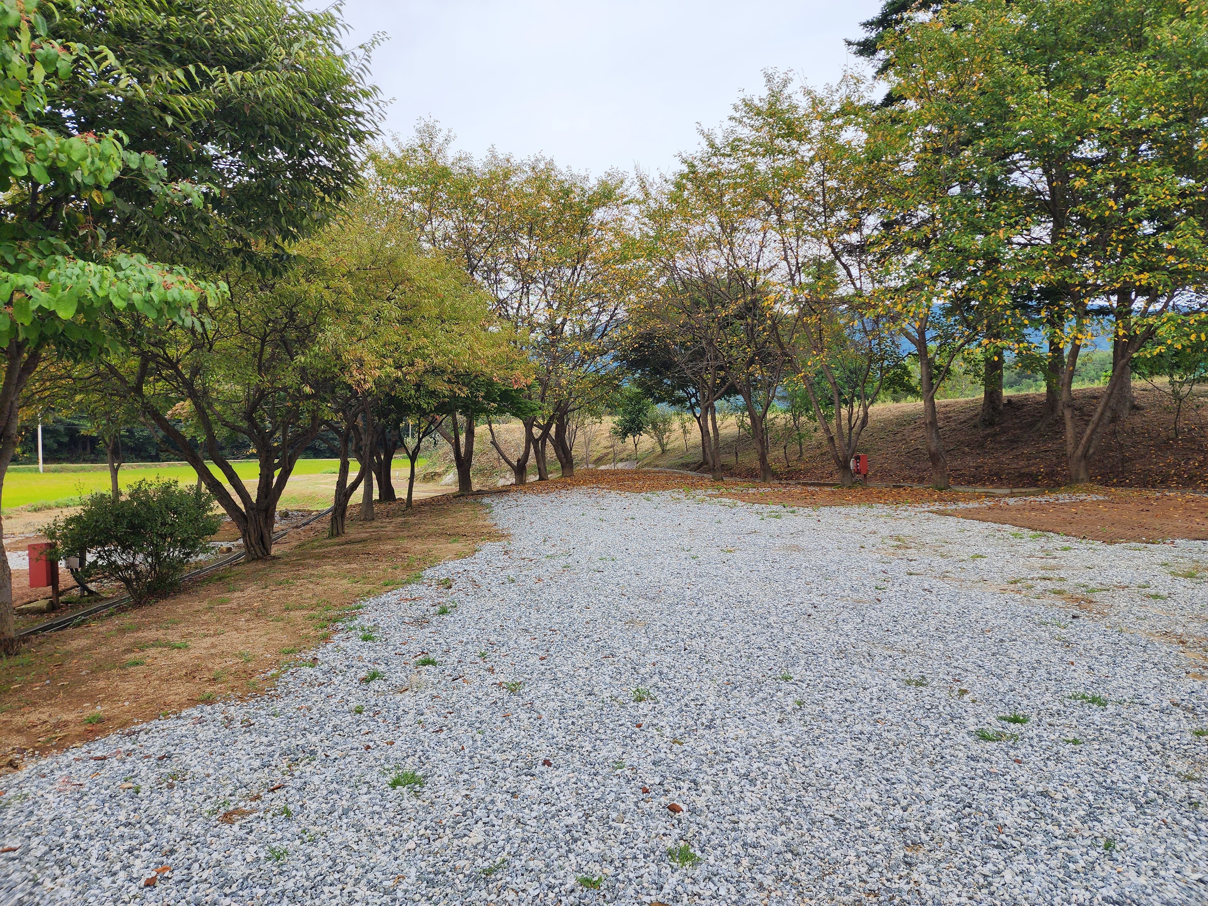 용인반딧불캠핑장 이미지 2