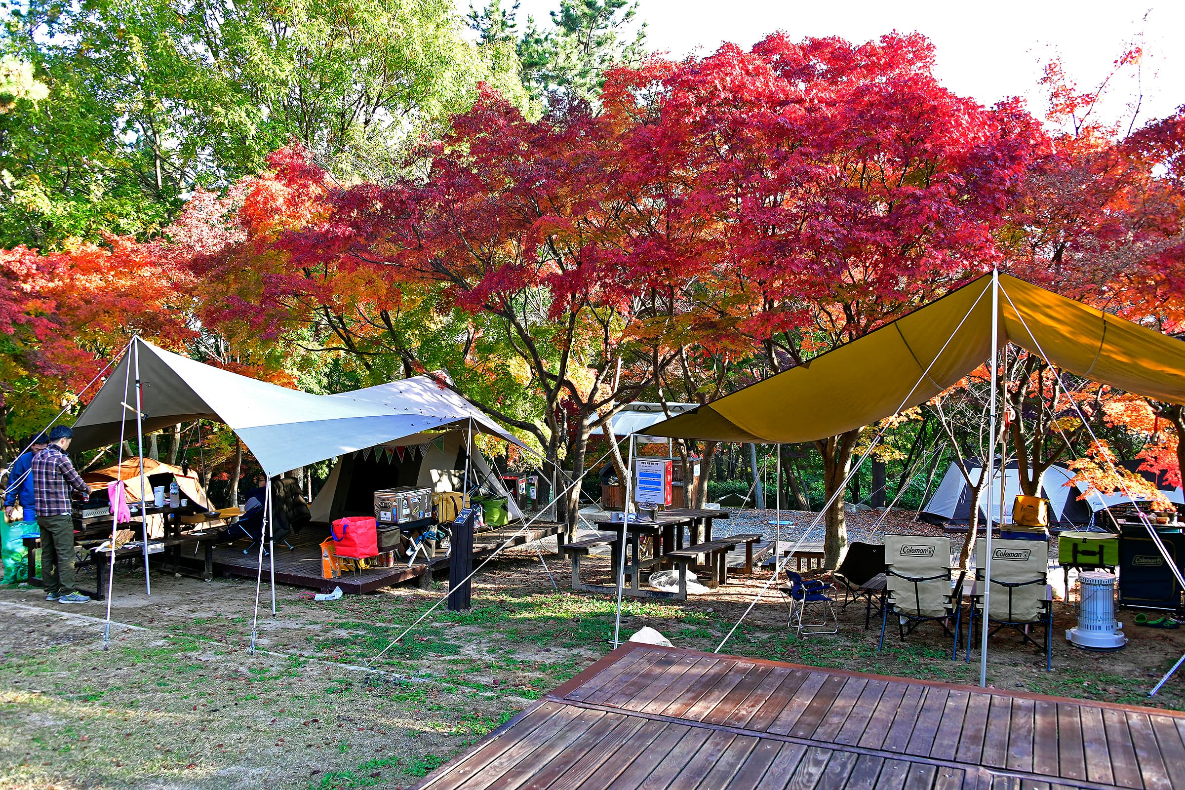 월출산국립공원 천황야영장 이미지 2