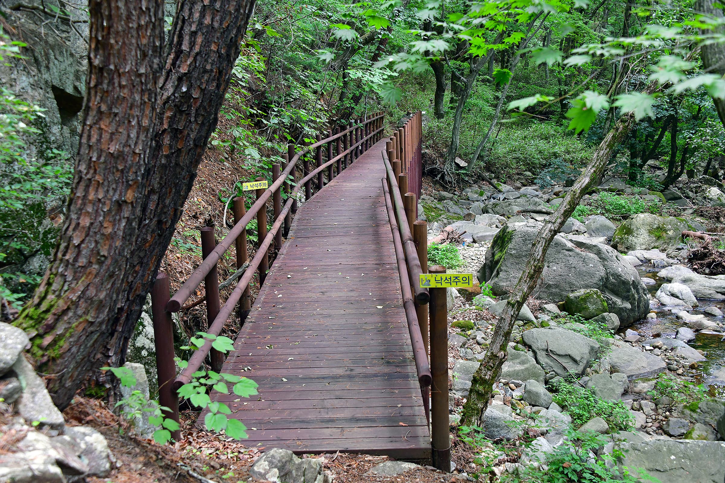 치인야영장 이미지 3