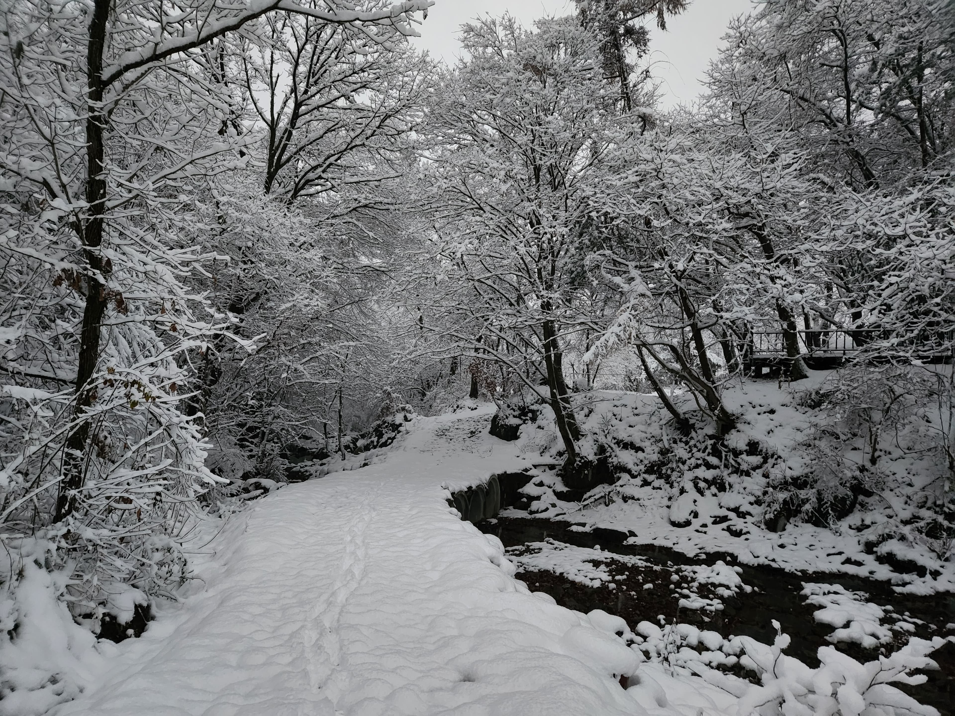 쿼크밸리캠프 야영장 이미지 2