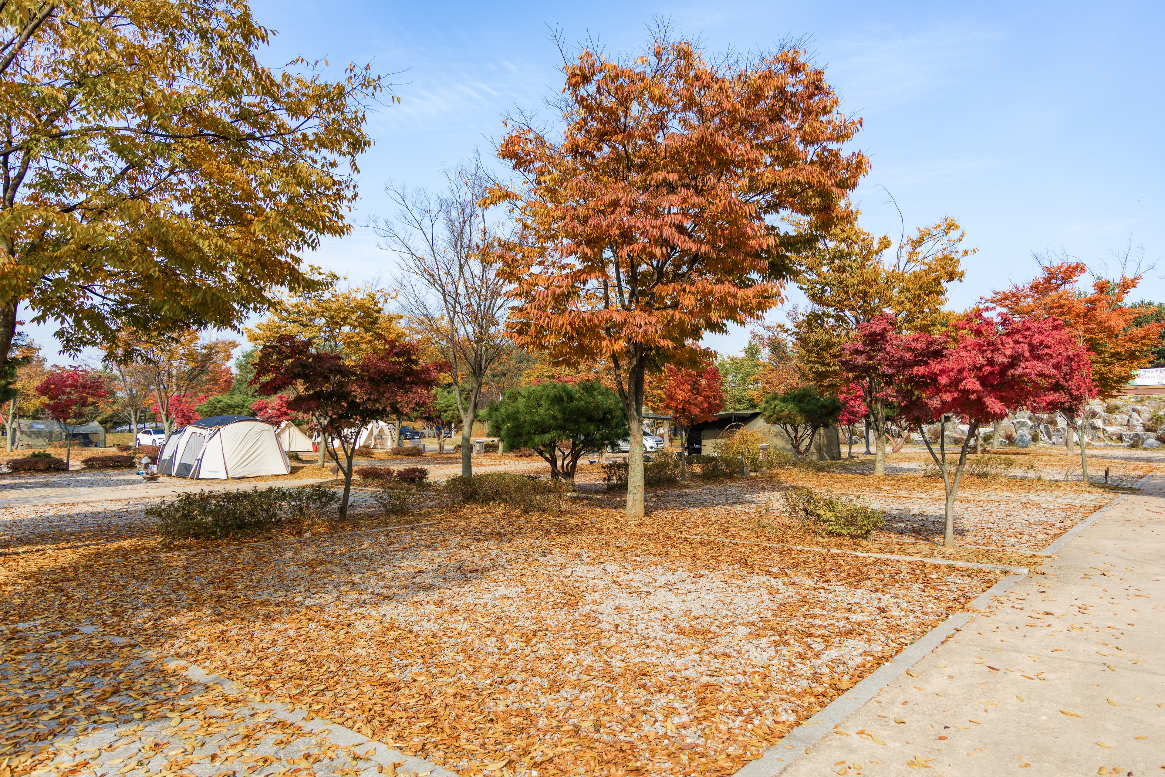 화성시 향남 오토캠핑장 이미지 3