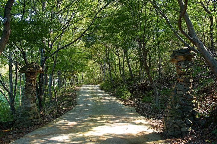 궁지골 농원