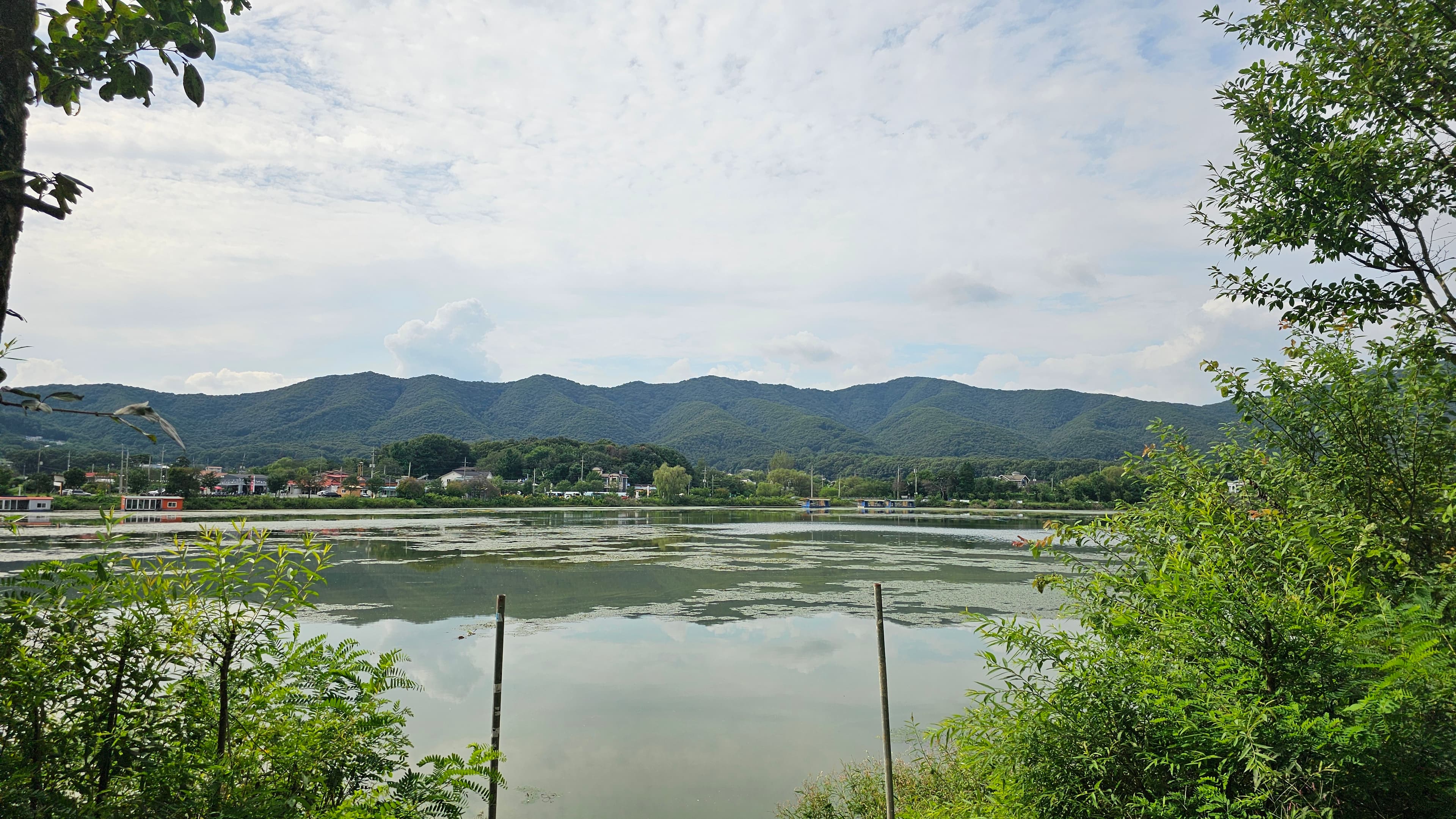 숲속에안뜰 캠핑장 이미지 3