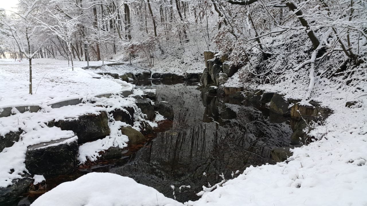 싱글벙글캠핑장 이미지 3