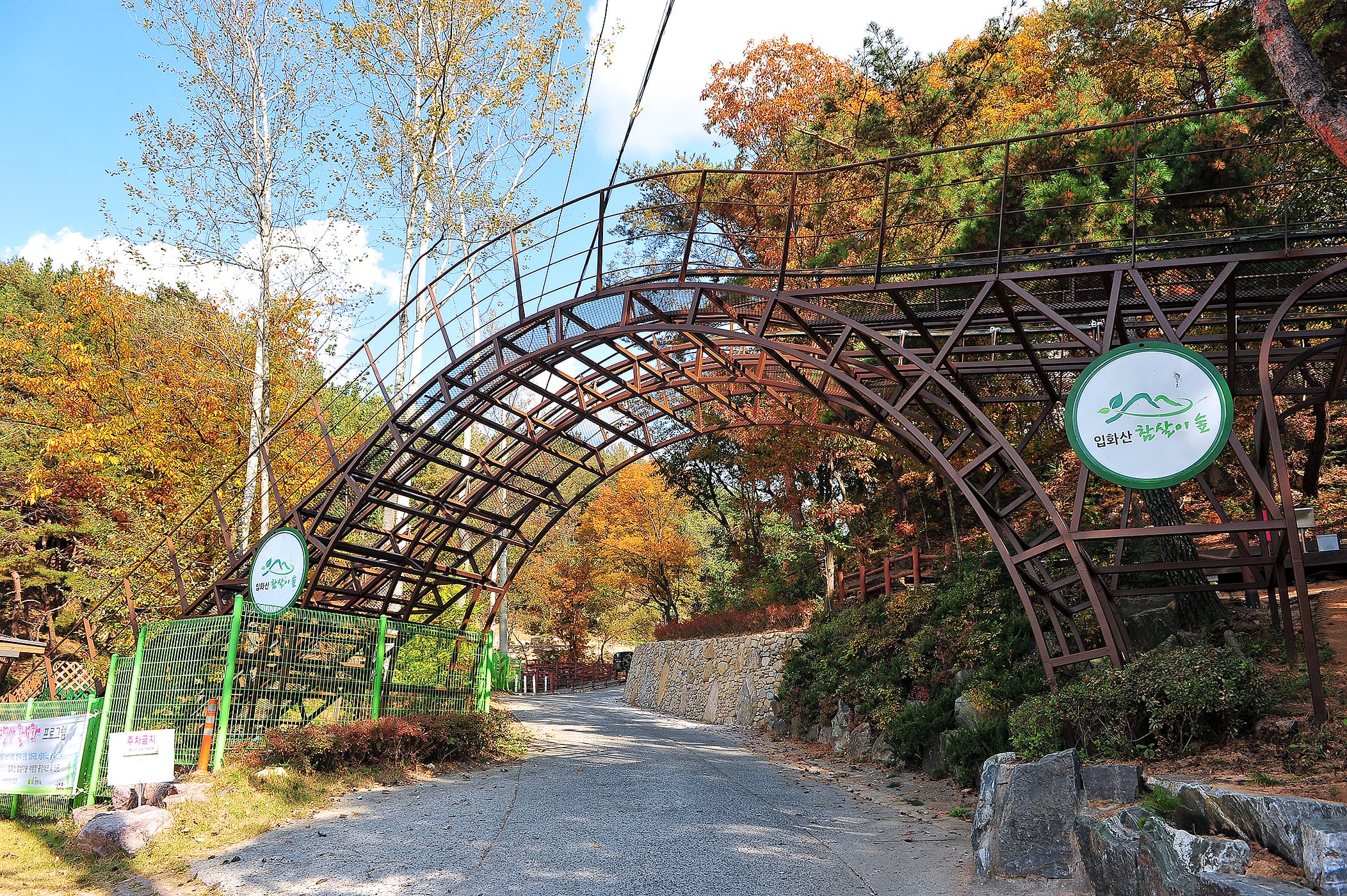 입화산참살이숲야영장 이미지 2