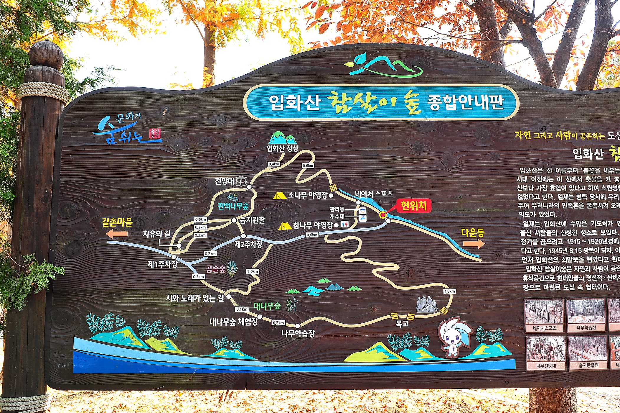 입화산참살이숲야영장