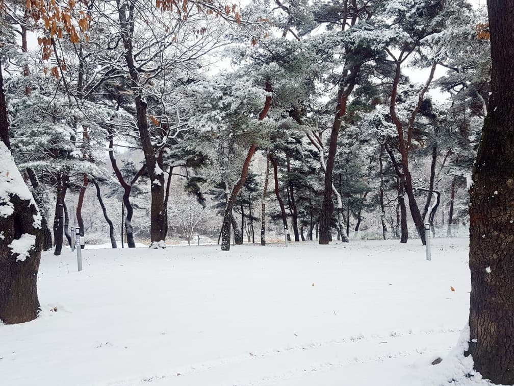 후평숲캠핑장 이미지 3