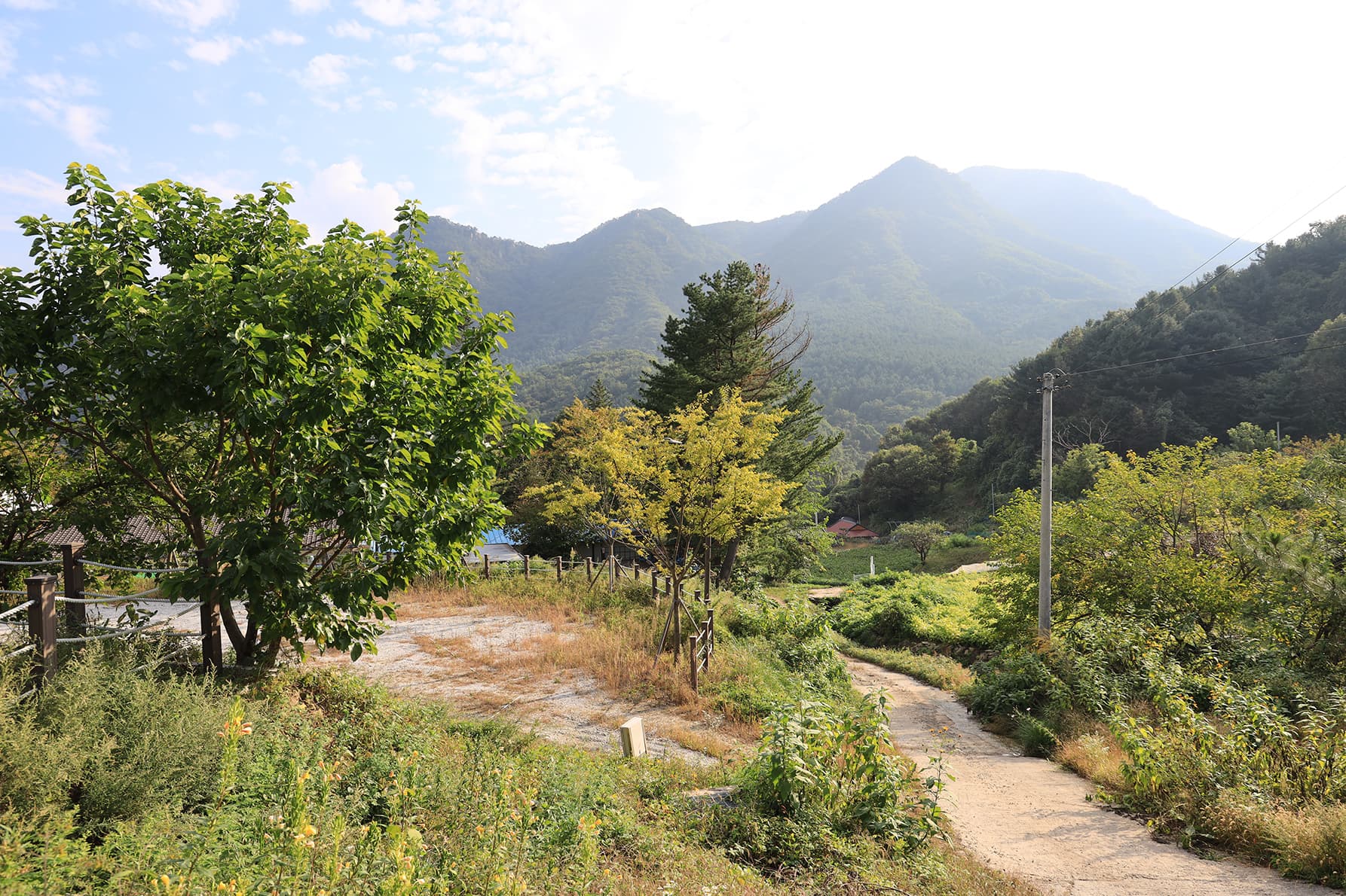 산대분교공공캠핑장 이미지 2