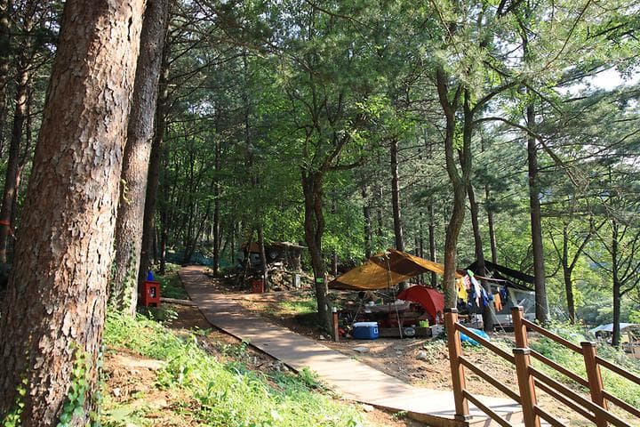 선바위자연캠핑장