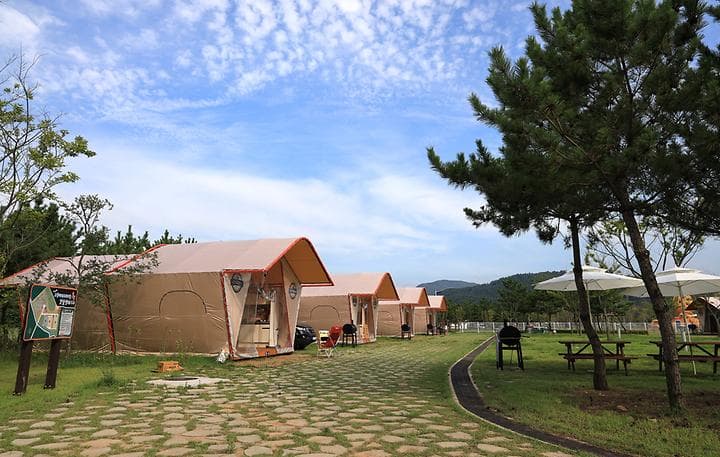 고창갯벌오토캠핑&글램핑