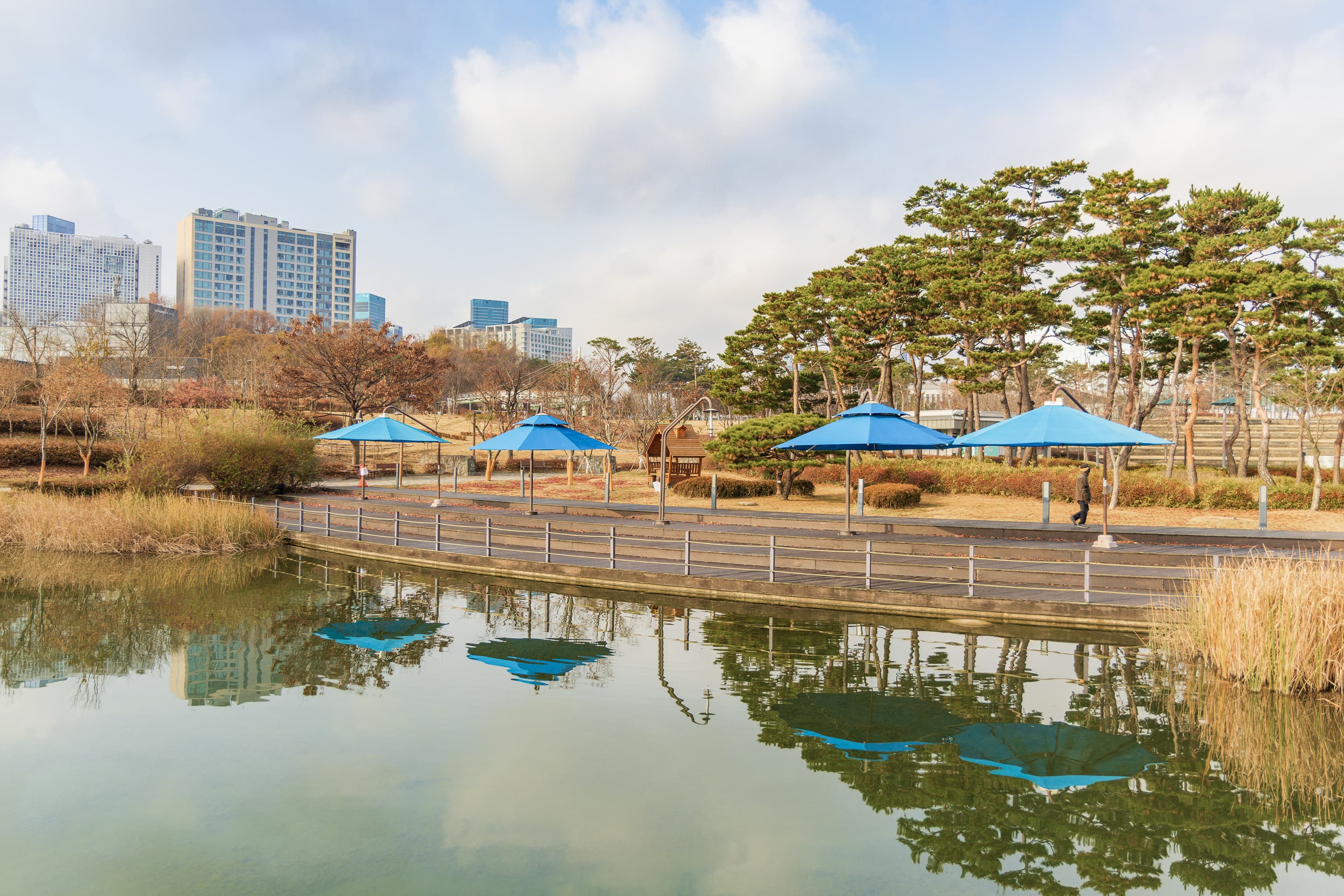 전월산 국민여가캠핑장 이미지 2