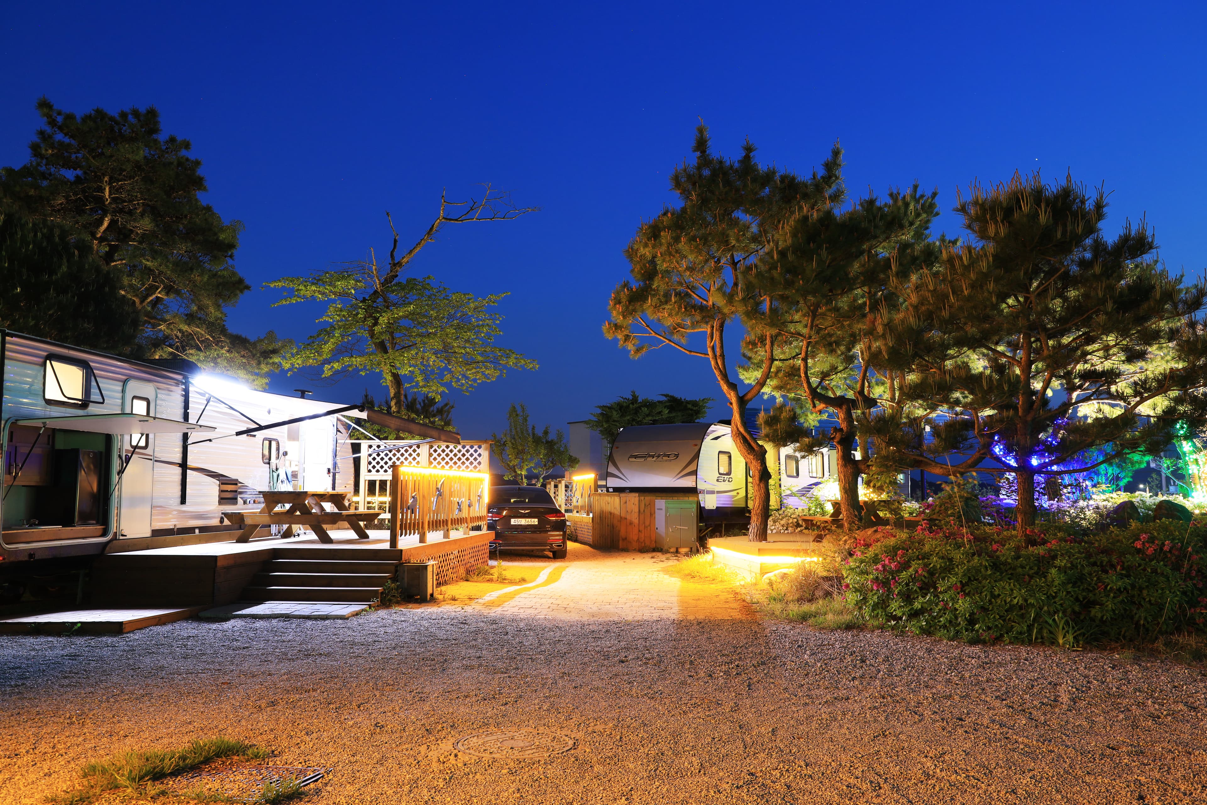 와우파크 이미지 2