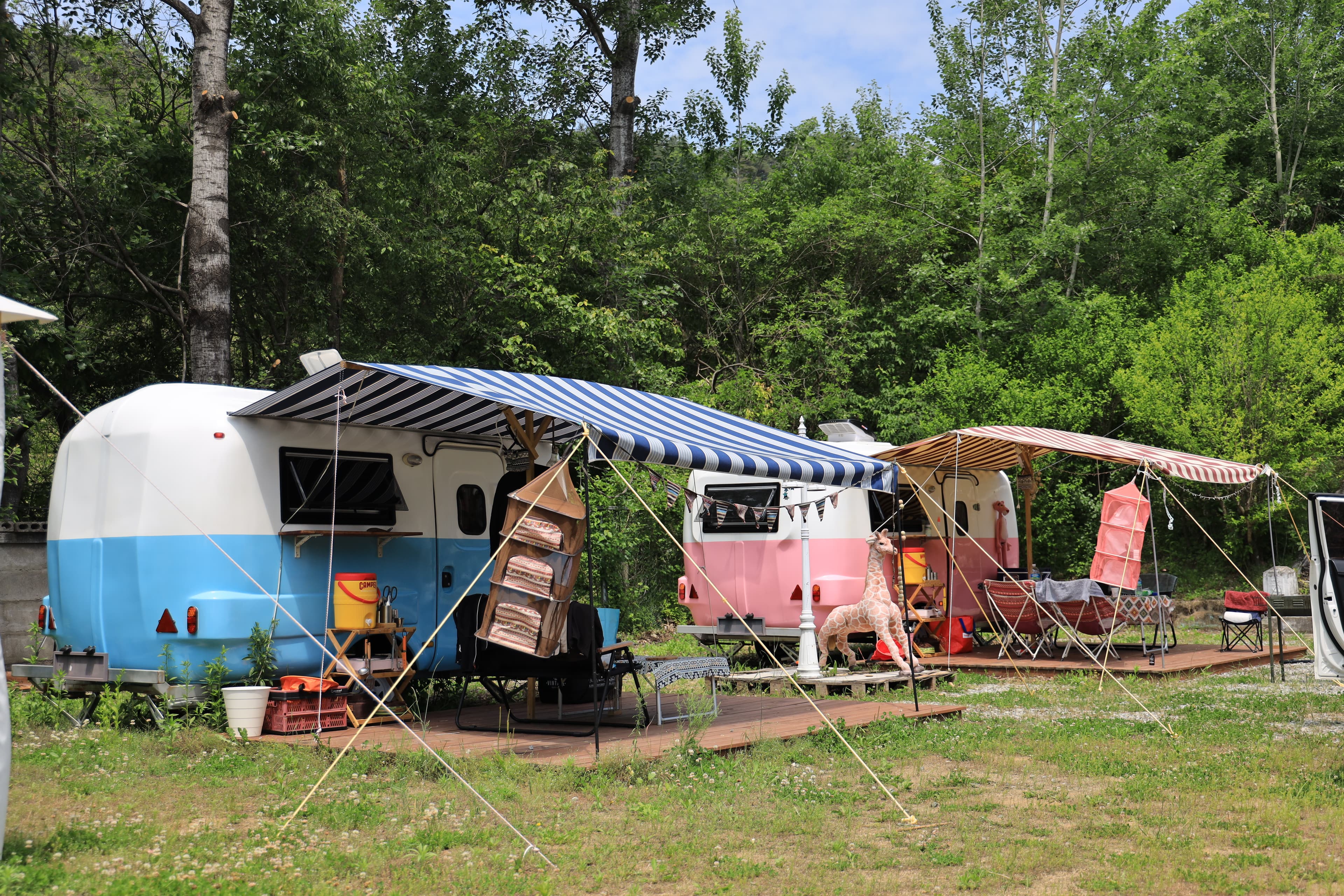 트리앤캠프스토리 이미지 2