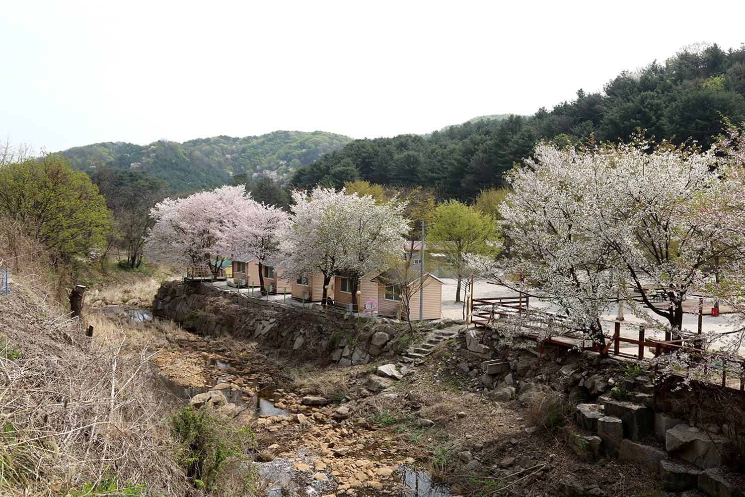 깊이울관광농원(깊이울 캠핑장) 이미지 3
