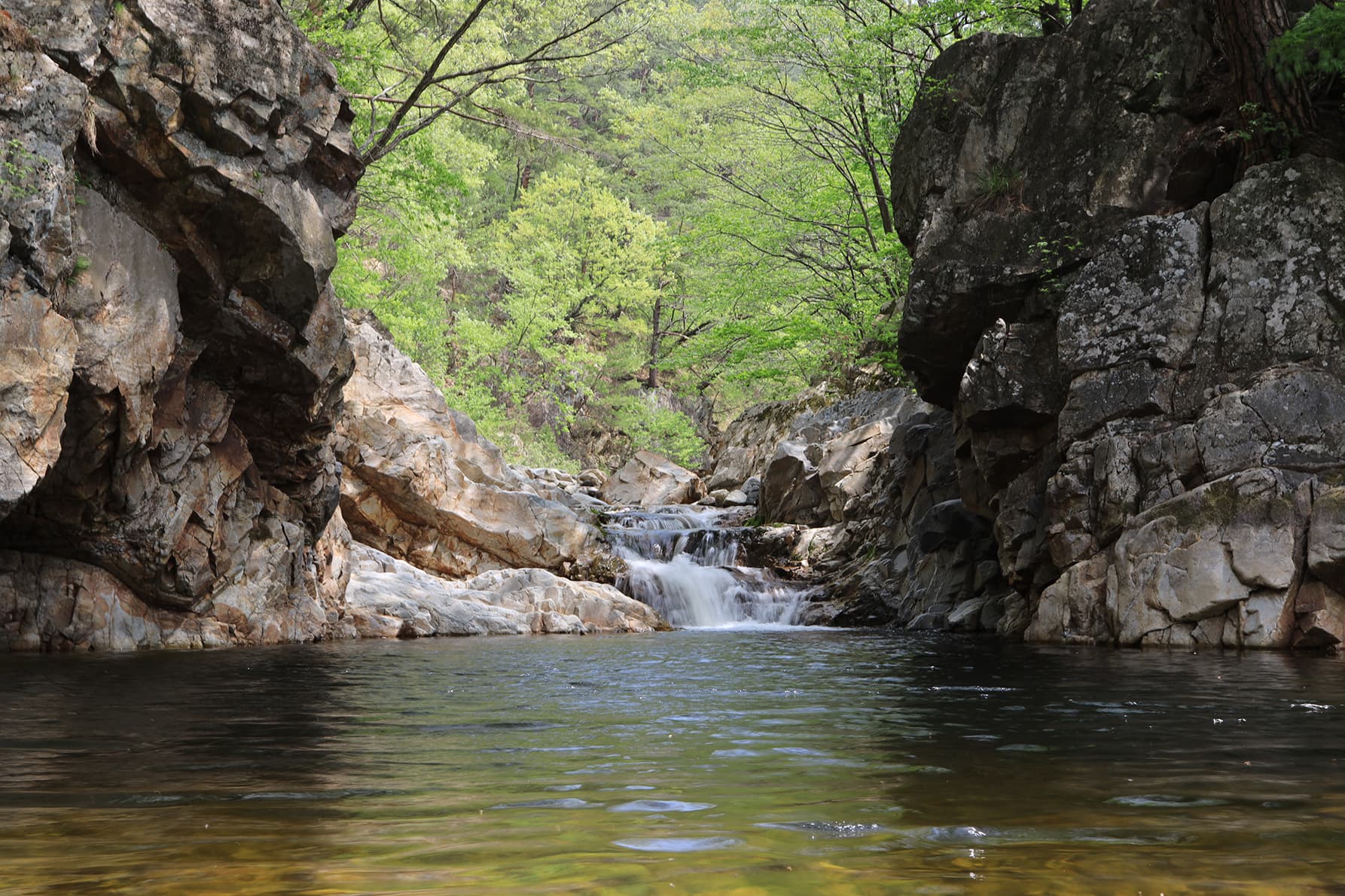 꿈꾸는 계곡 야영장 이미지 3