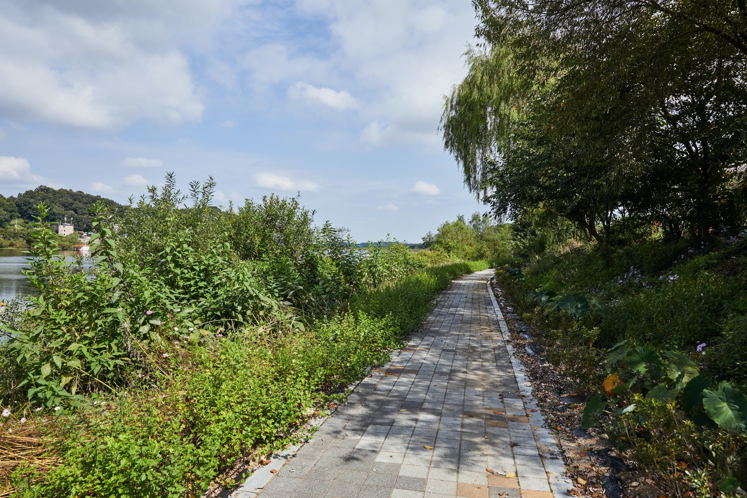 용설호수캠핑장 이미지 3