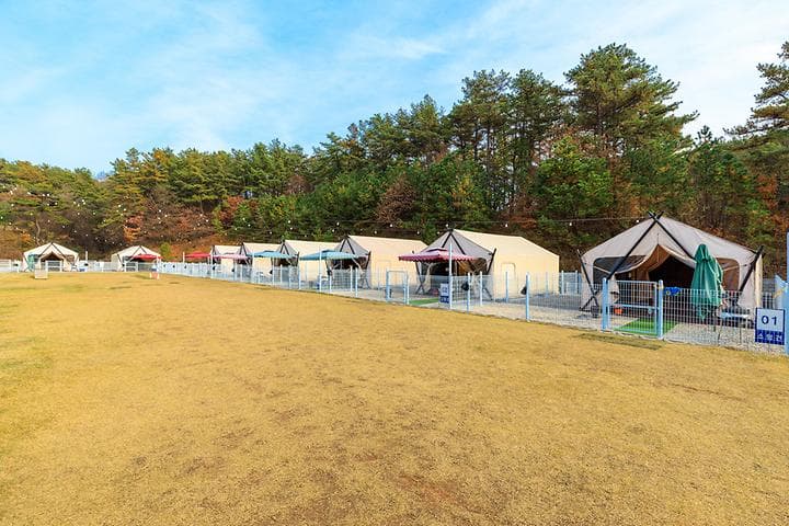 멍글멍글 펫글램핑