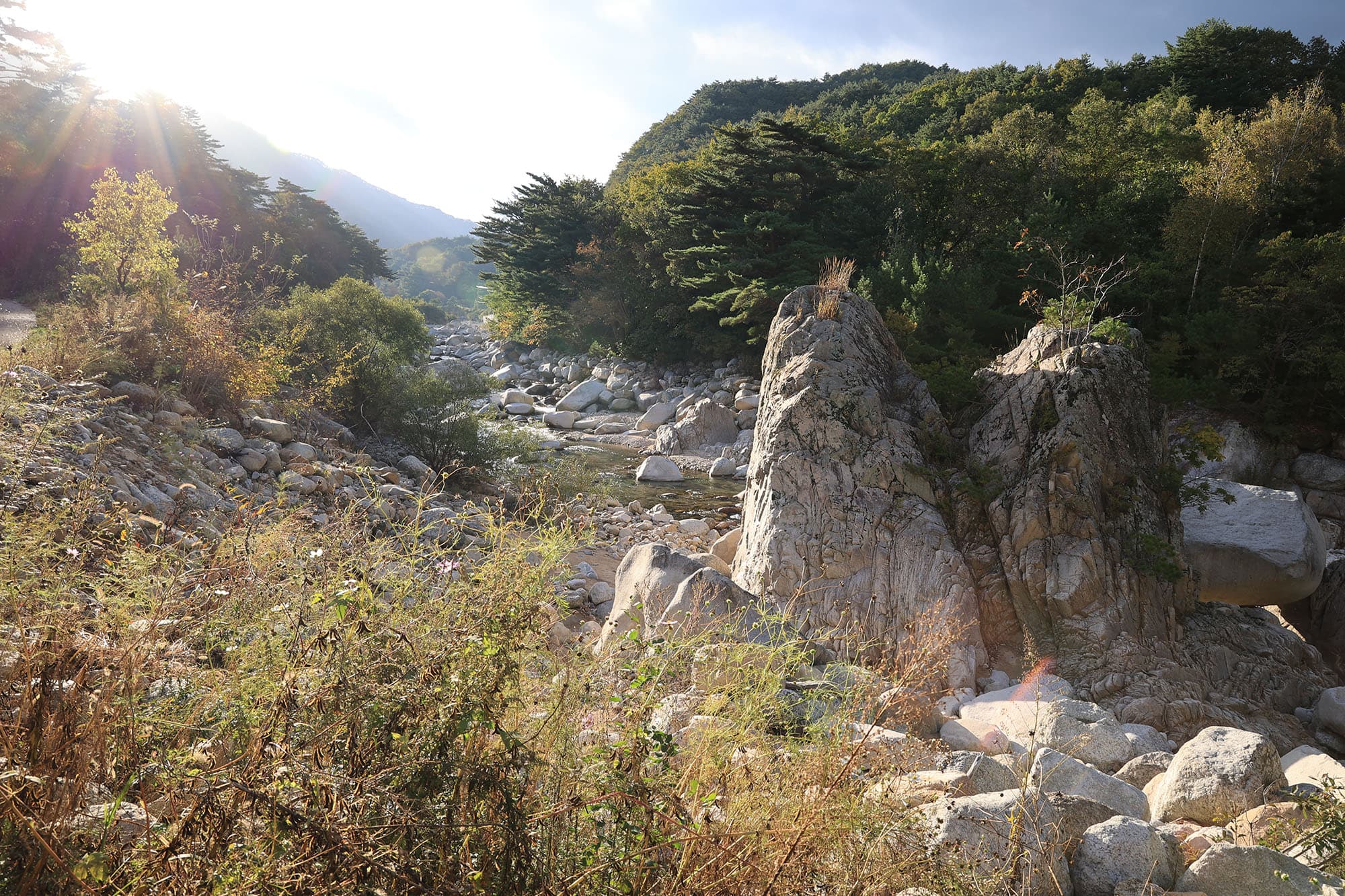 양양오색 휴랜드 야영장 이미지 3