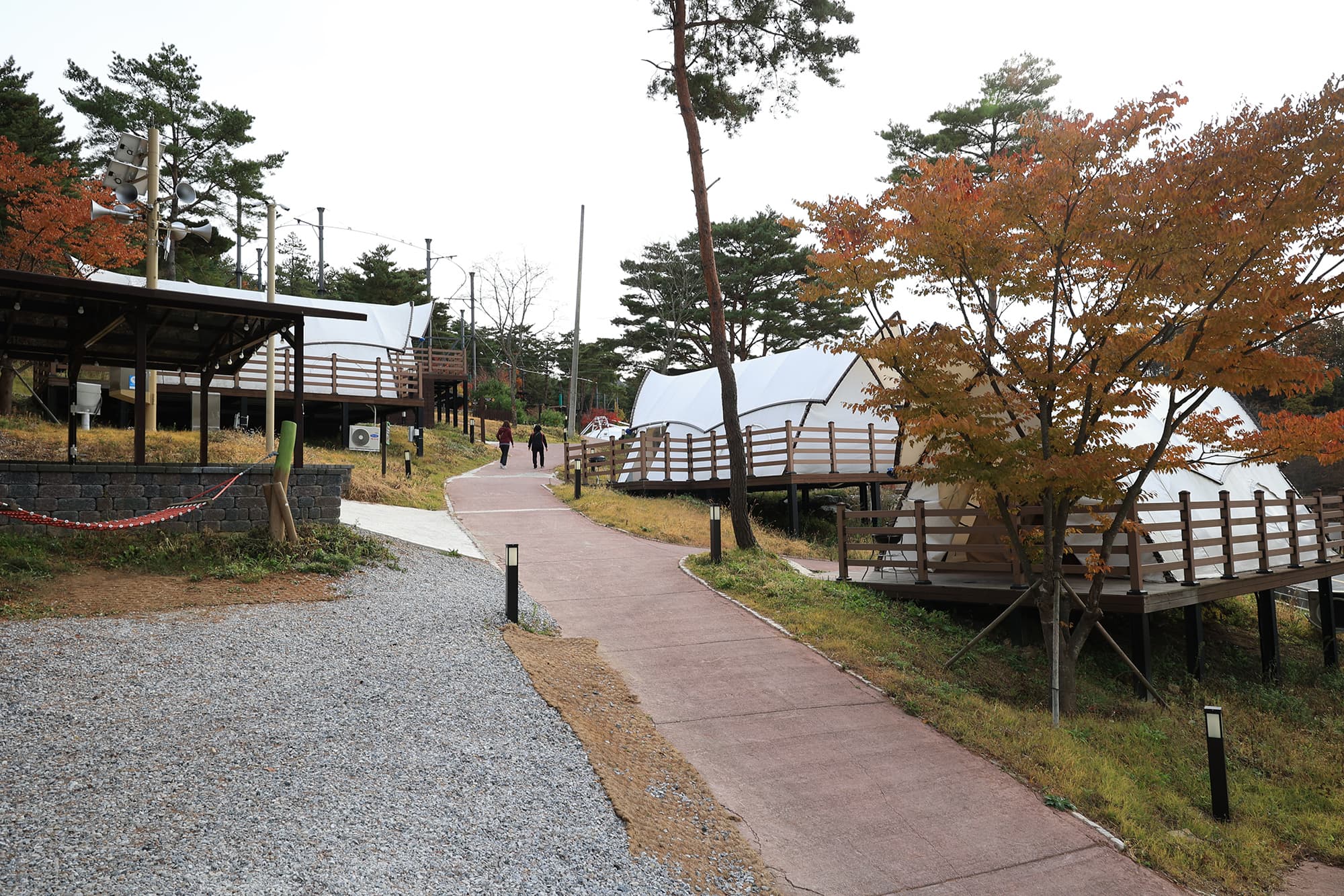 숲속야영장 이미지 2