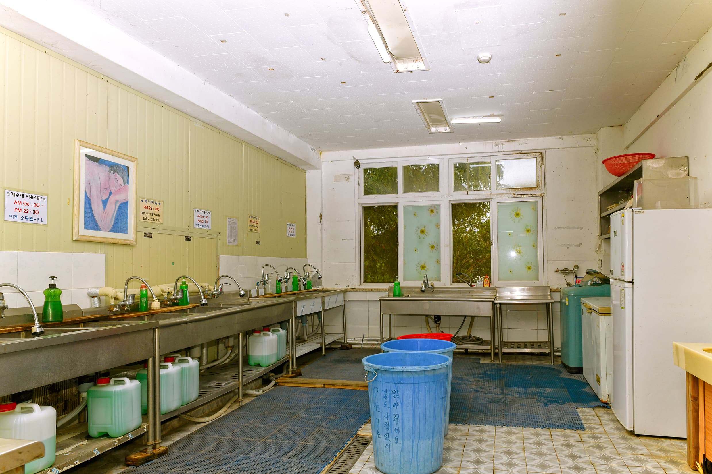 보령 1313캠핑장 이미지 3