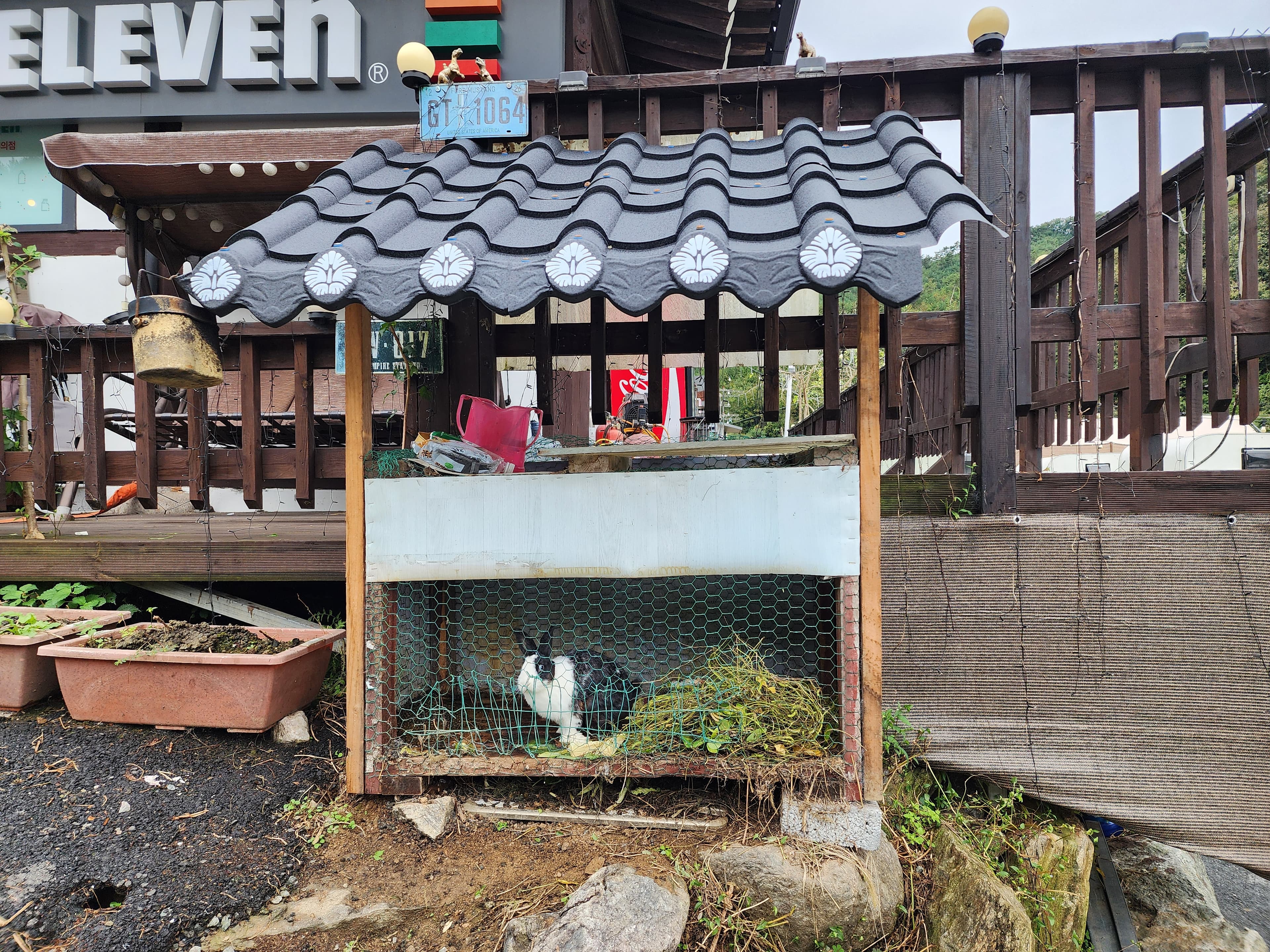 양평카라반파파 이미지 3