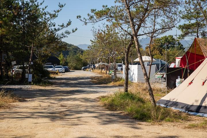 양주 리온 캠핑장