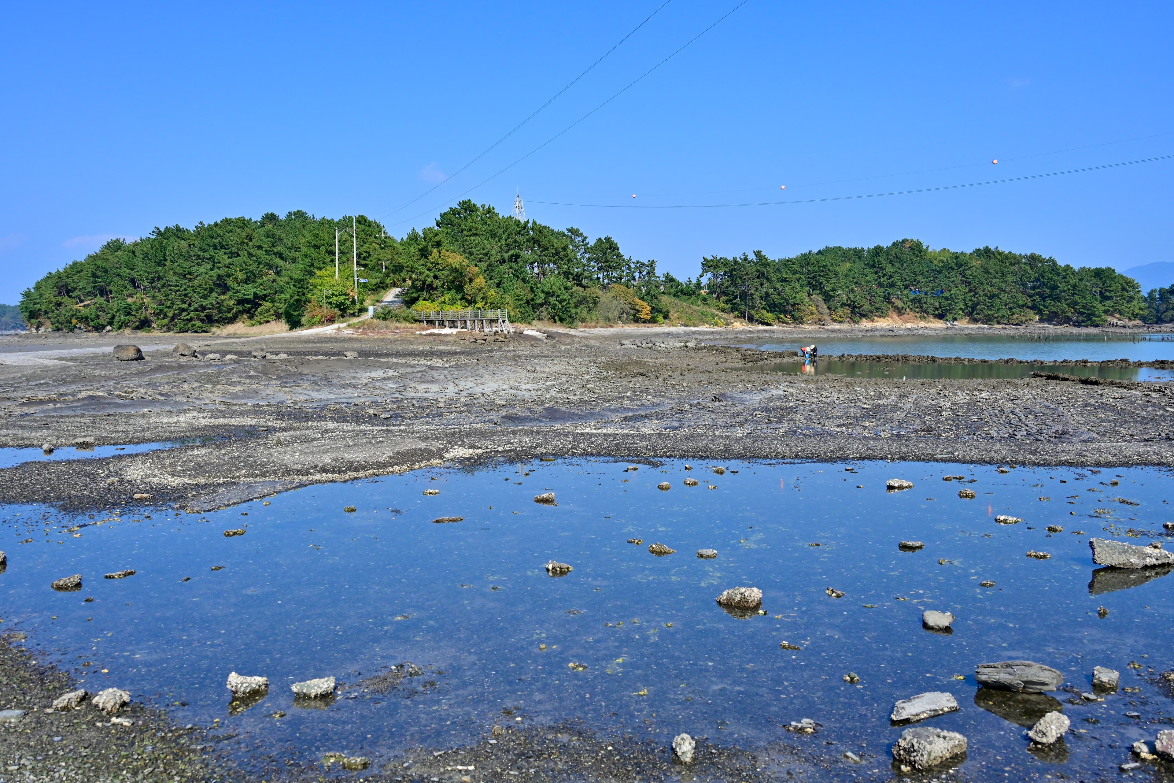 월등도 캠핑장 이미지 2