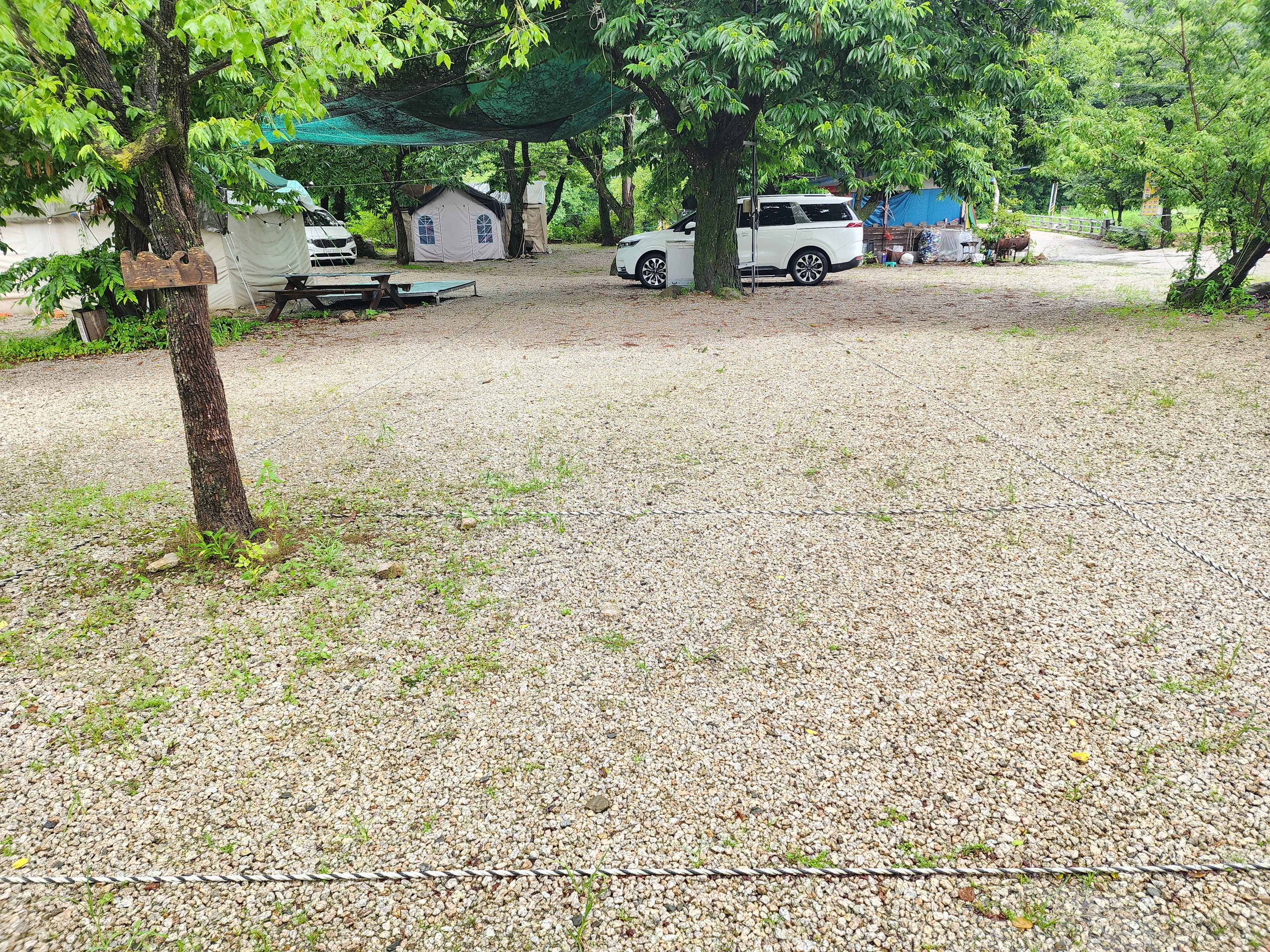 약사밤나무집 캠핑장 이미지 3