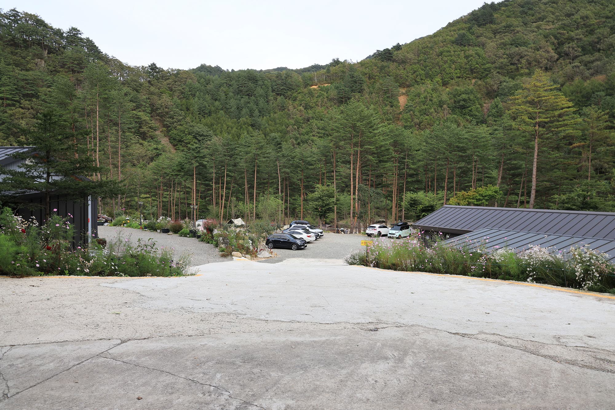 우니메이카 캠핑장 이미지 2