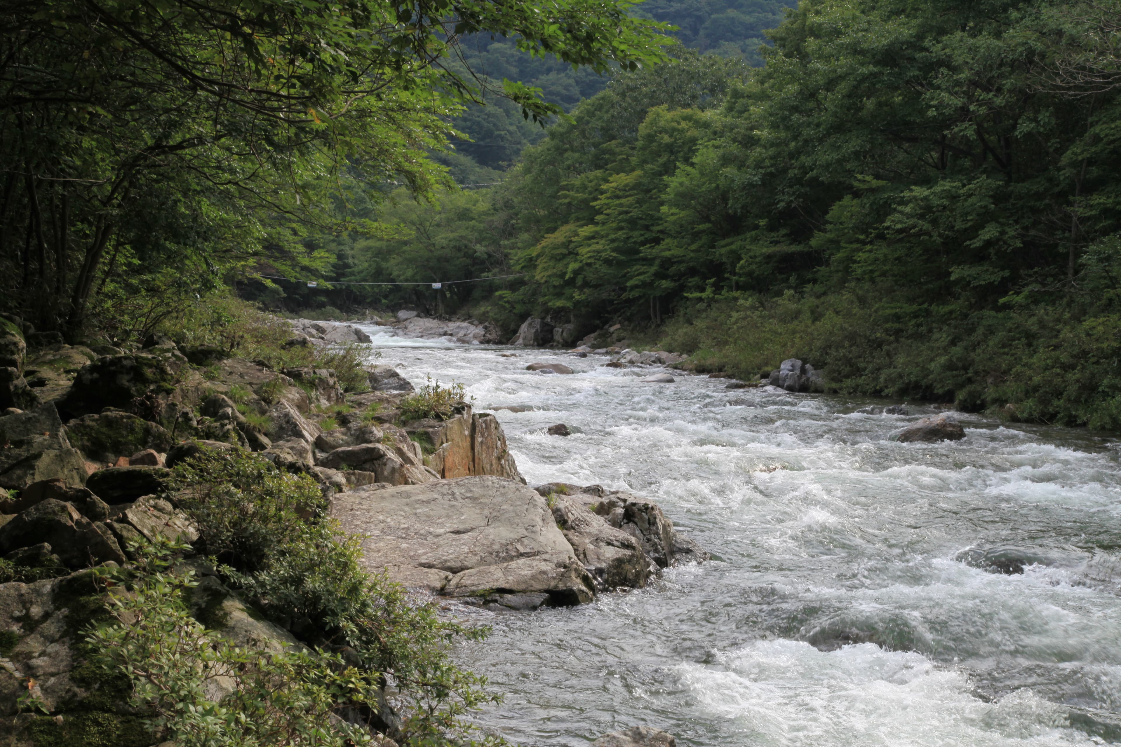 덕동자동차야영장 이미지 3