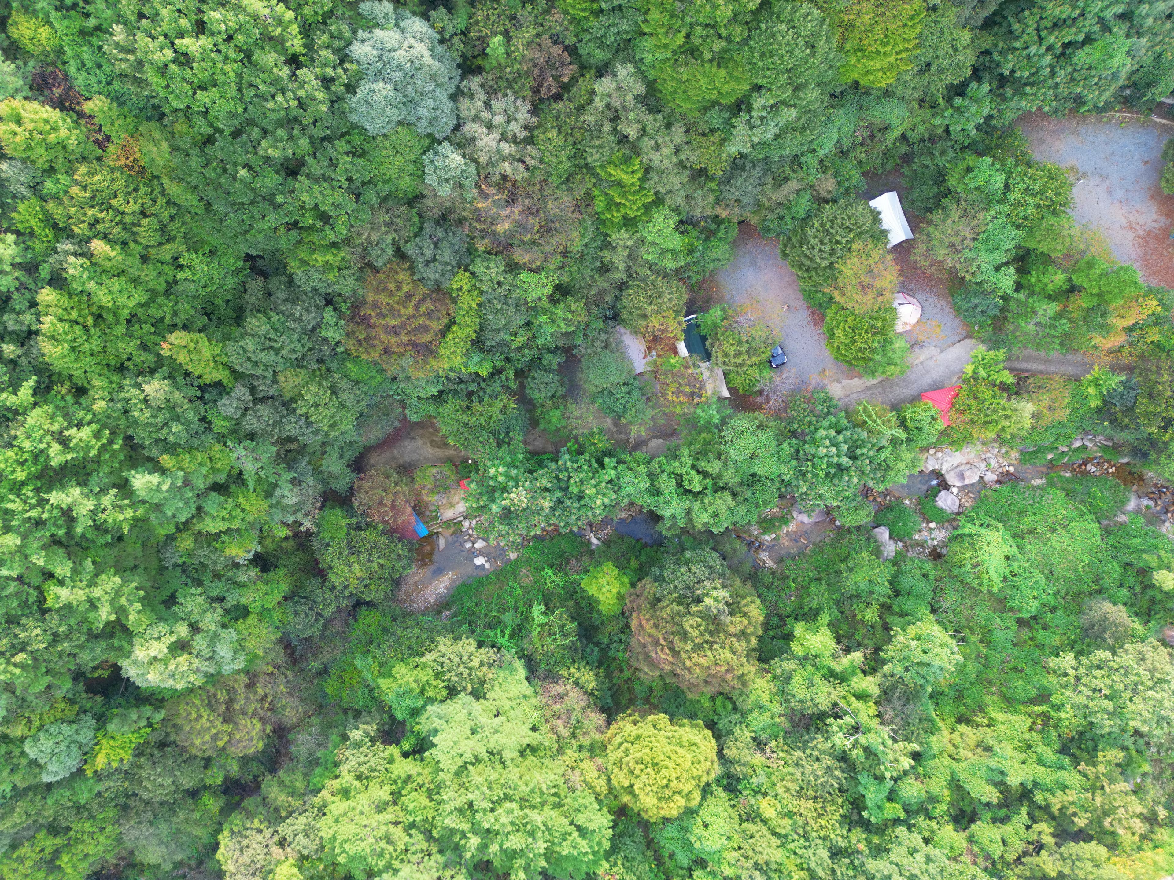 가야산백운오토캠핑장 이미지 3