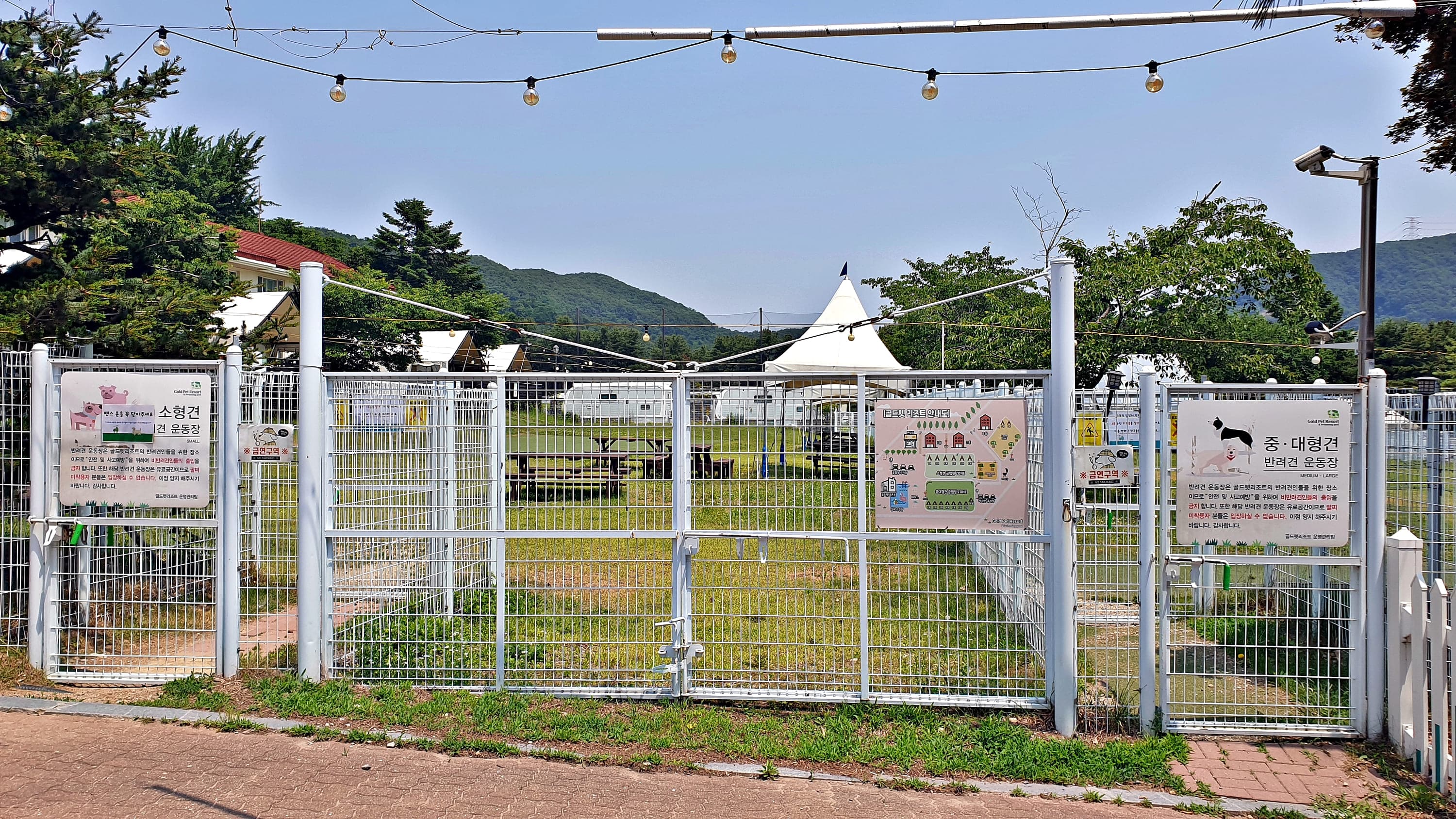 골드펫리조트 이미지 3