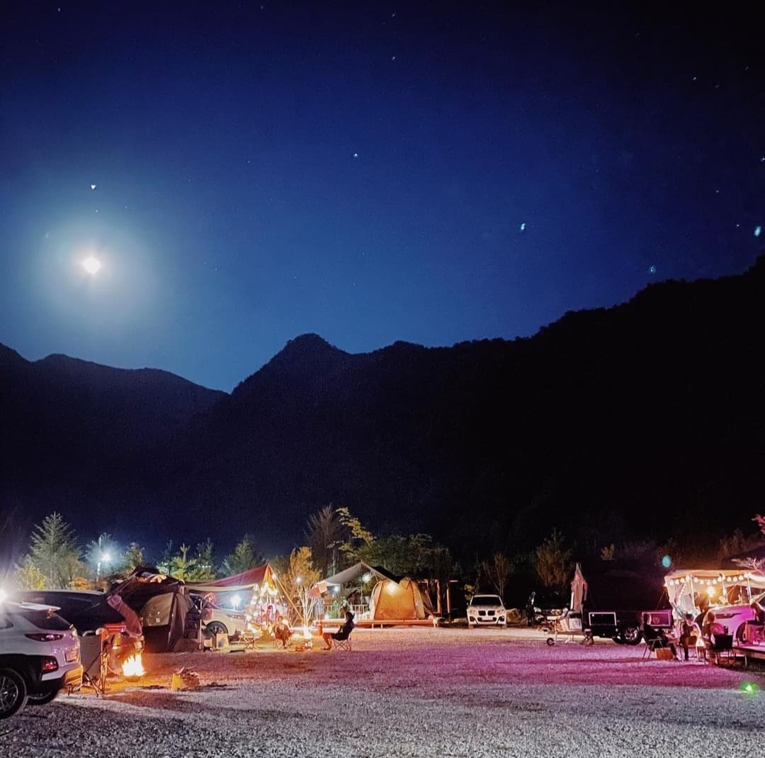 파인트리캠핑장 이미지 3