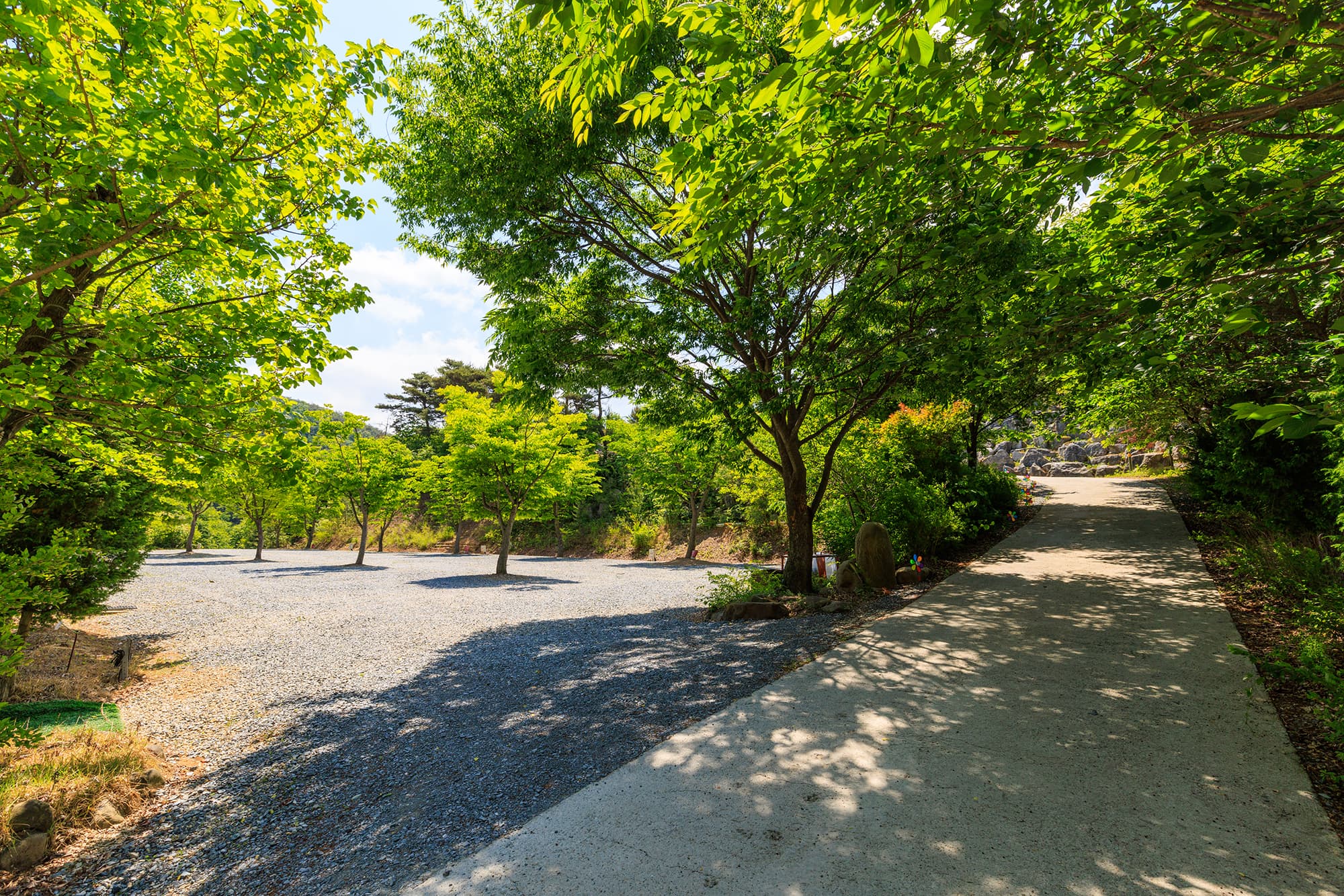 별바라기 캠핑 펜션 이미지 3