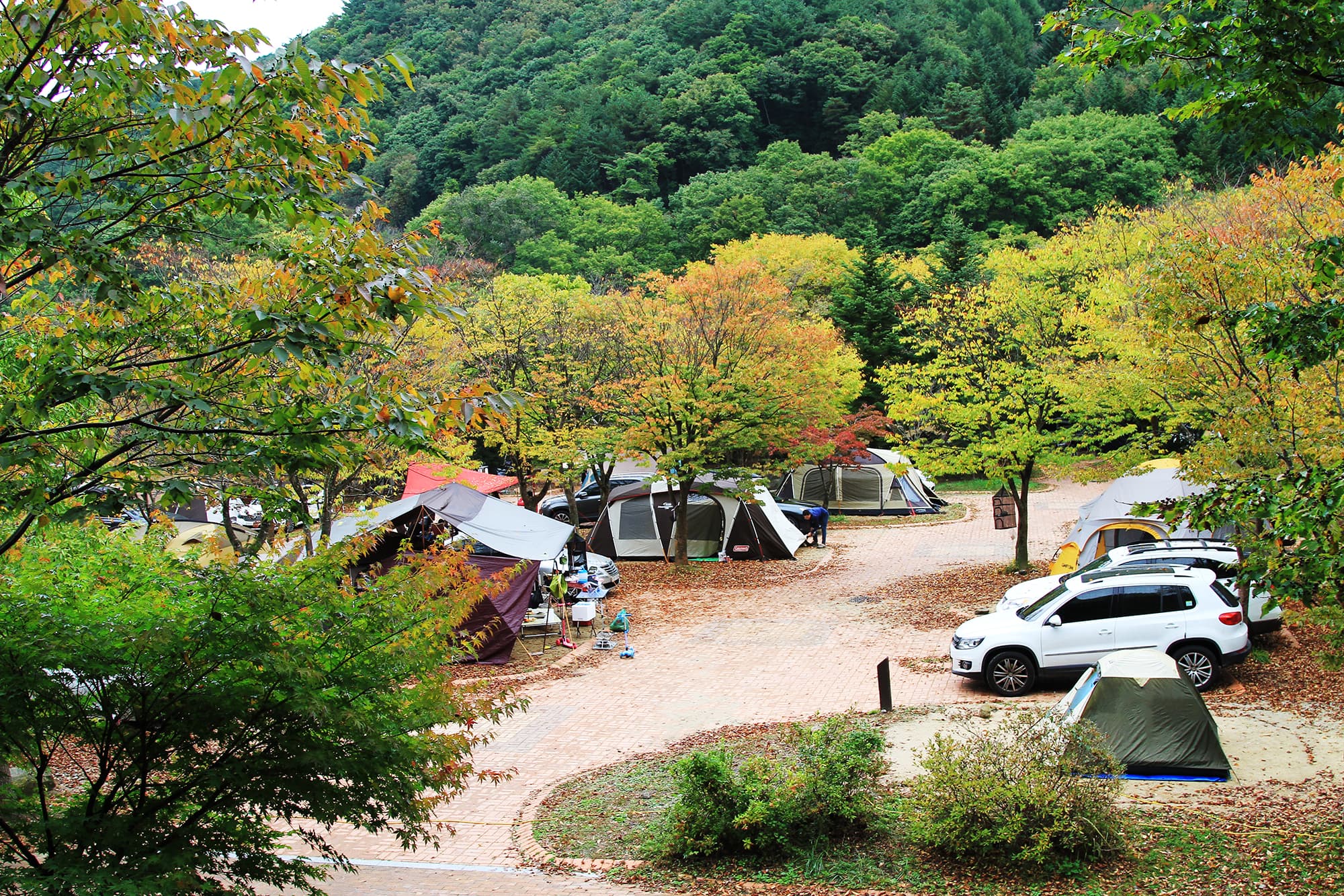 덕유대자동차야영장 이미지 3