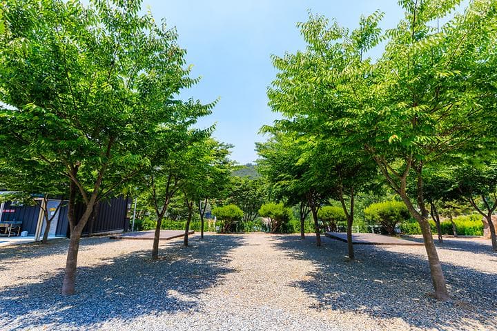 밀양 가보자 캠핑장