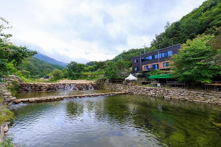 군위 솔밭야영장