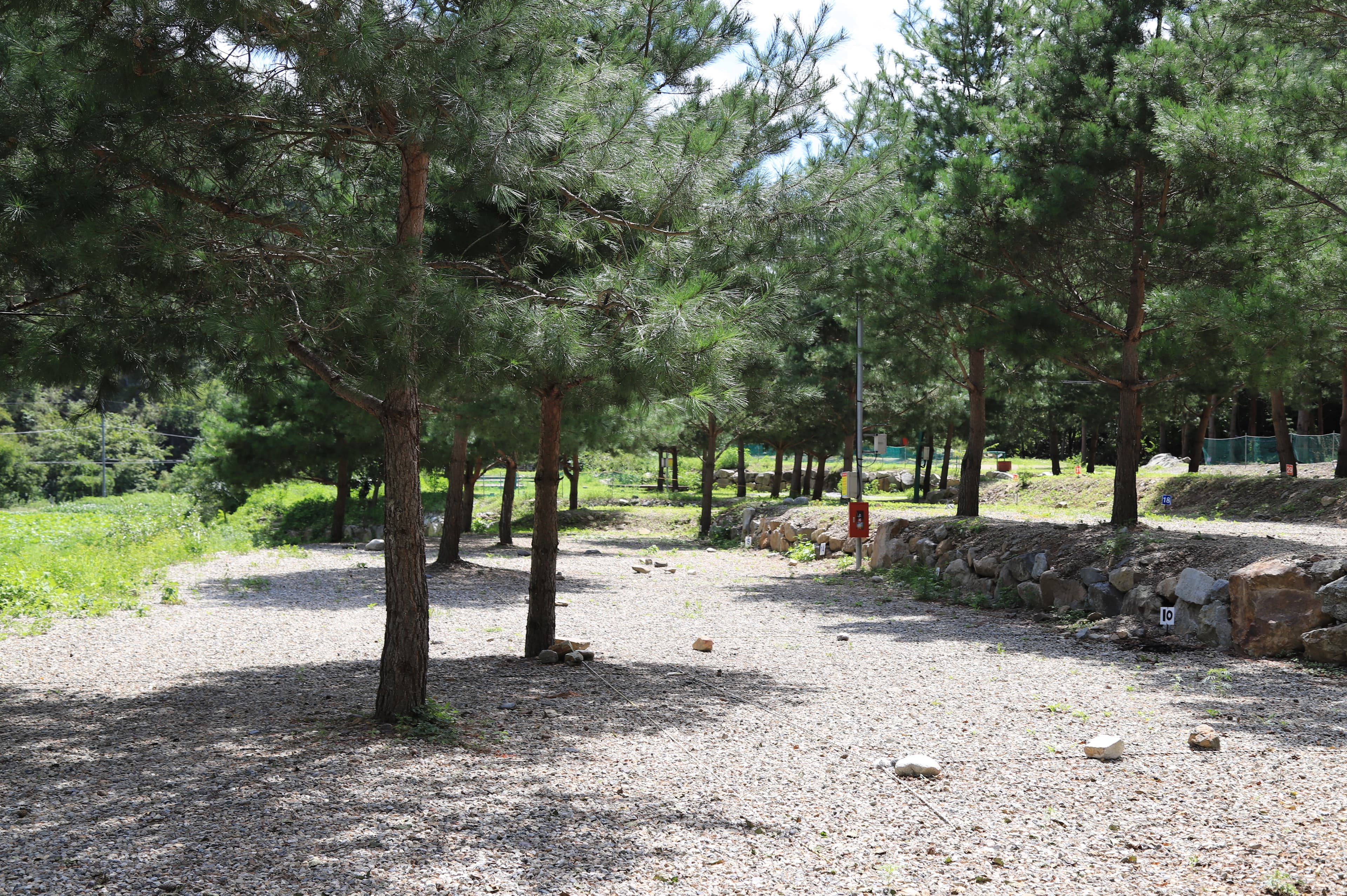 덕풍계곡 솔밭야영장 이미지 3