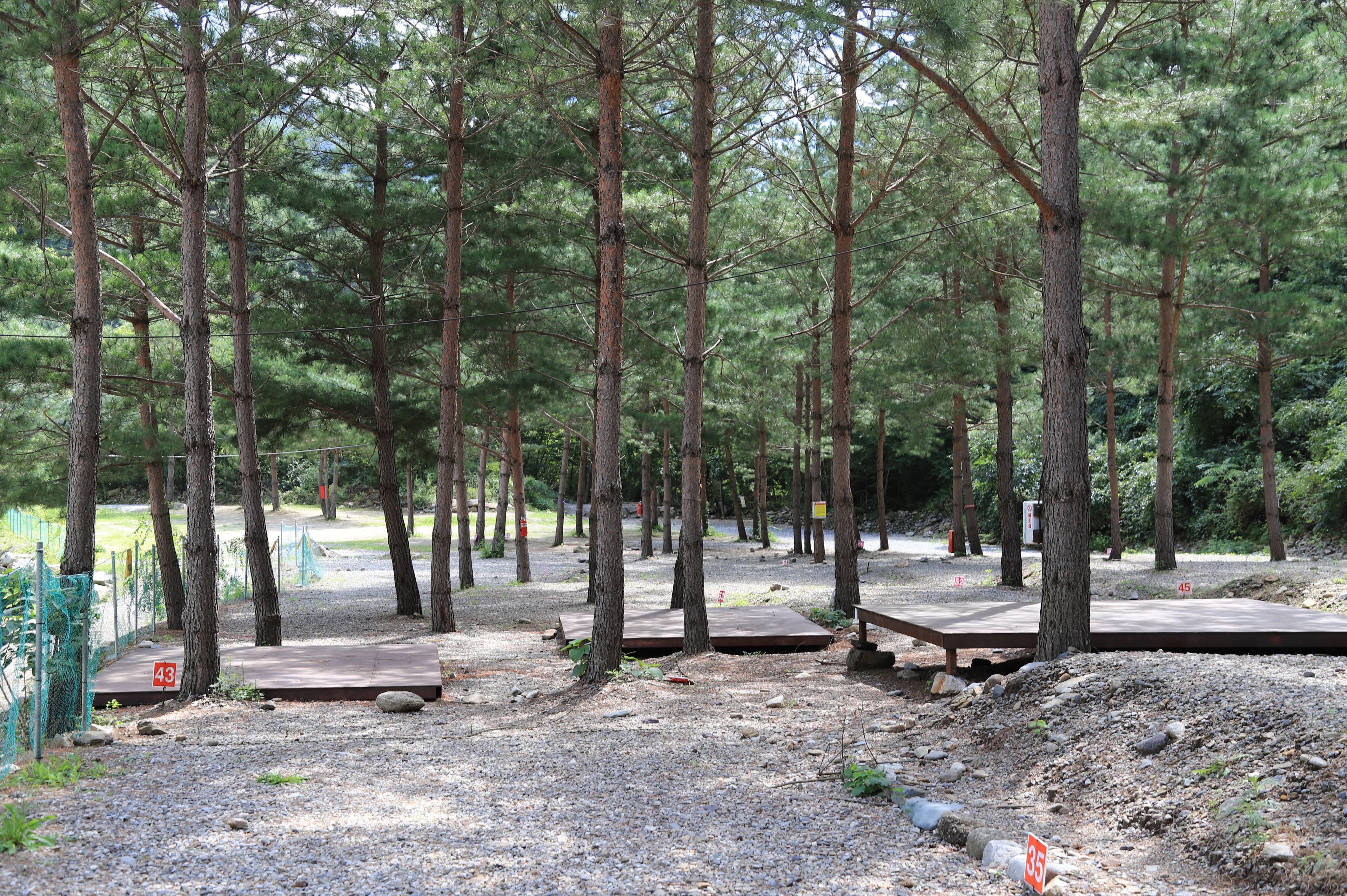 덕풍계곡 솔밭야영장 이미지 2