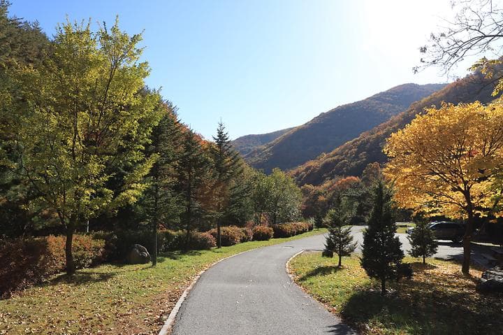 도사곡자연휴양림야영장