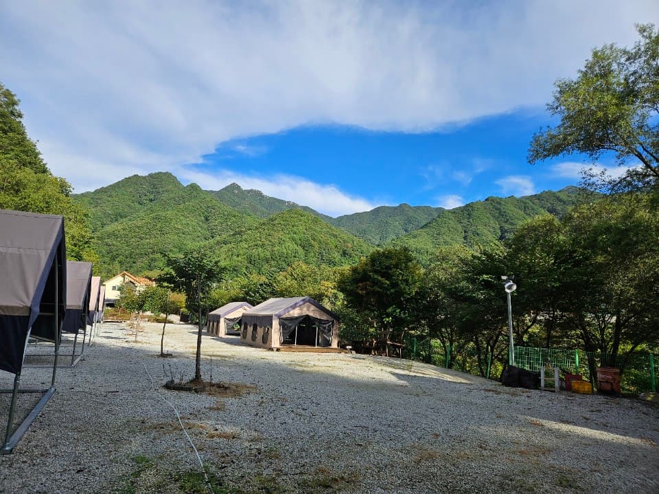월성자연캠핑야영장 이미지 2