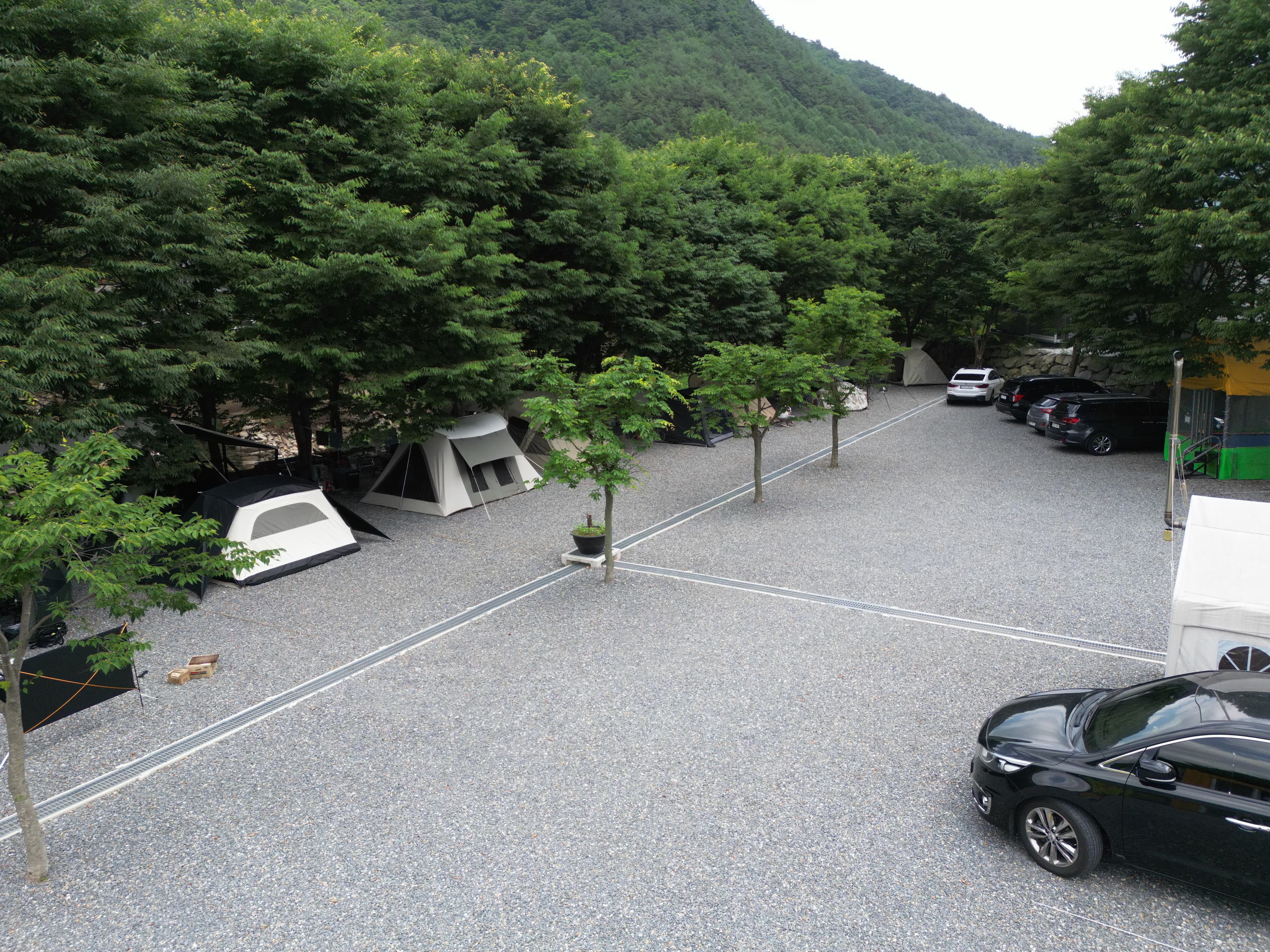 법흥계곡캠핑오늘 이미지 3