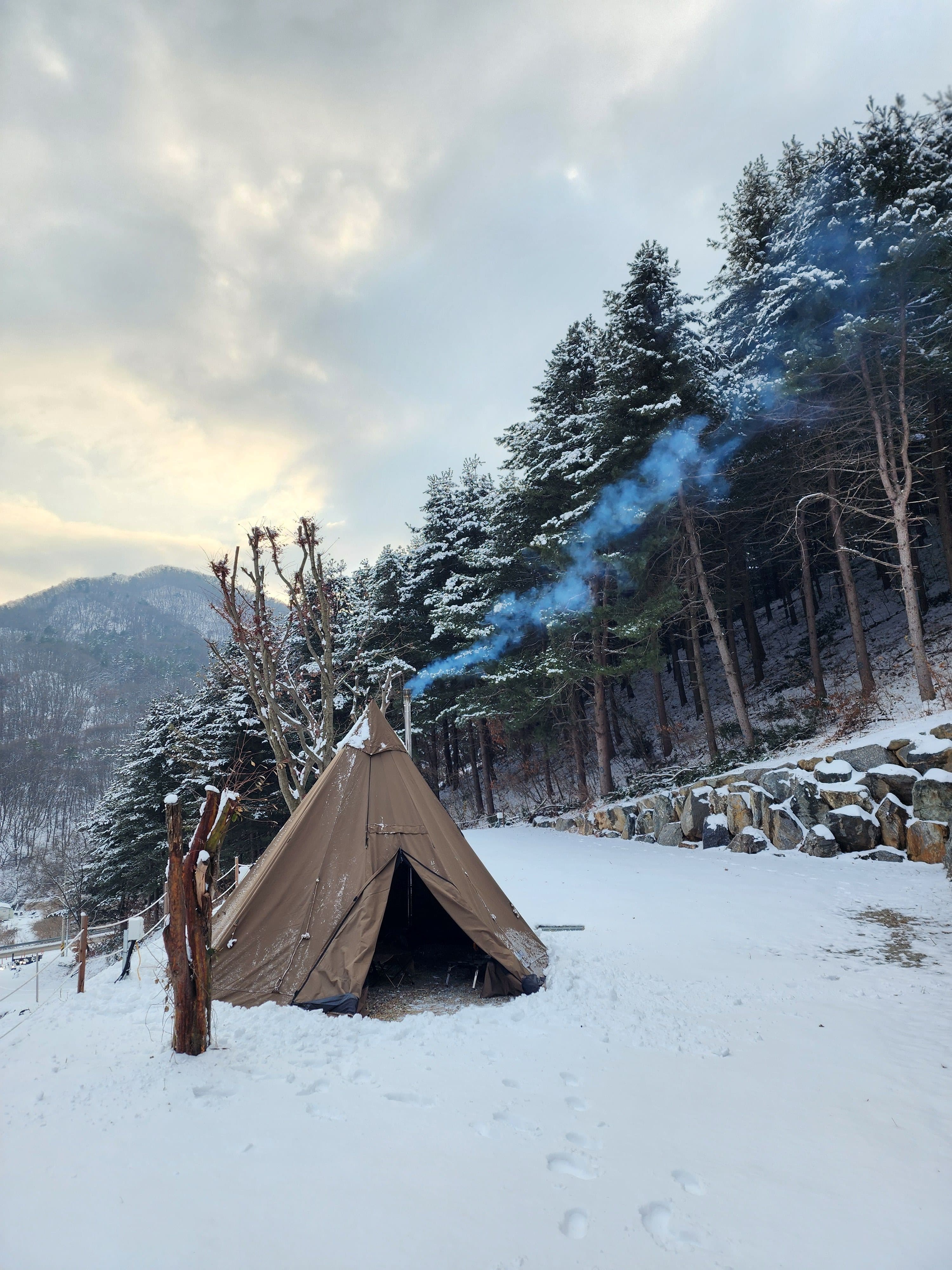 구릉지캠핑장 이미지 2