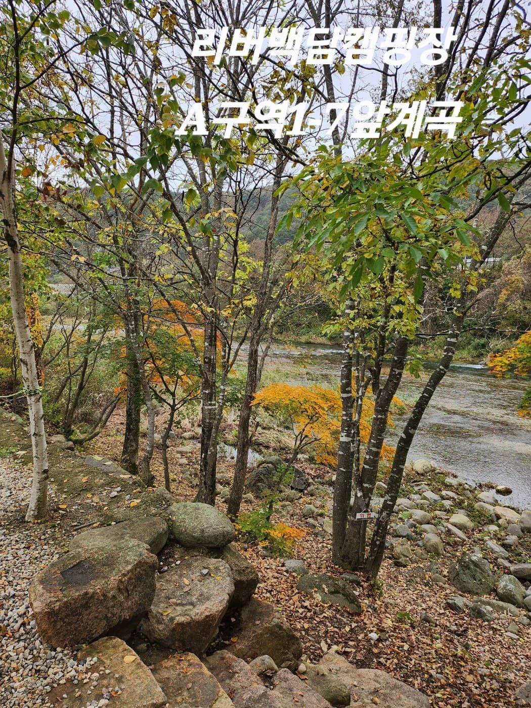 리버백담 캠핑장 이미지 3