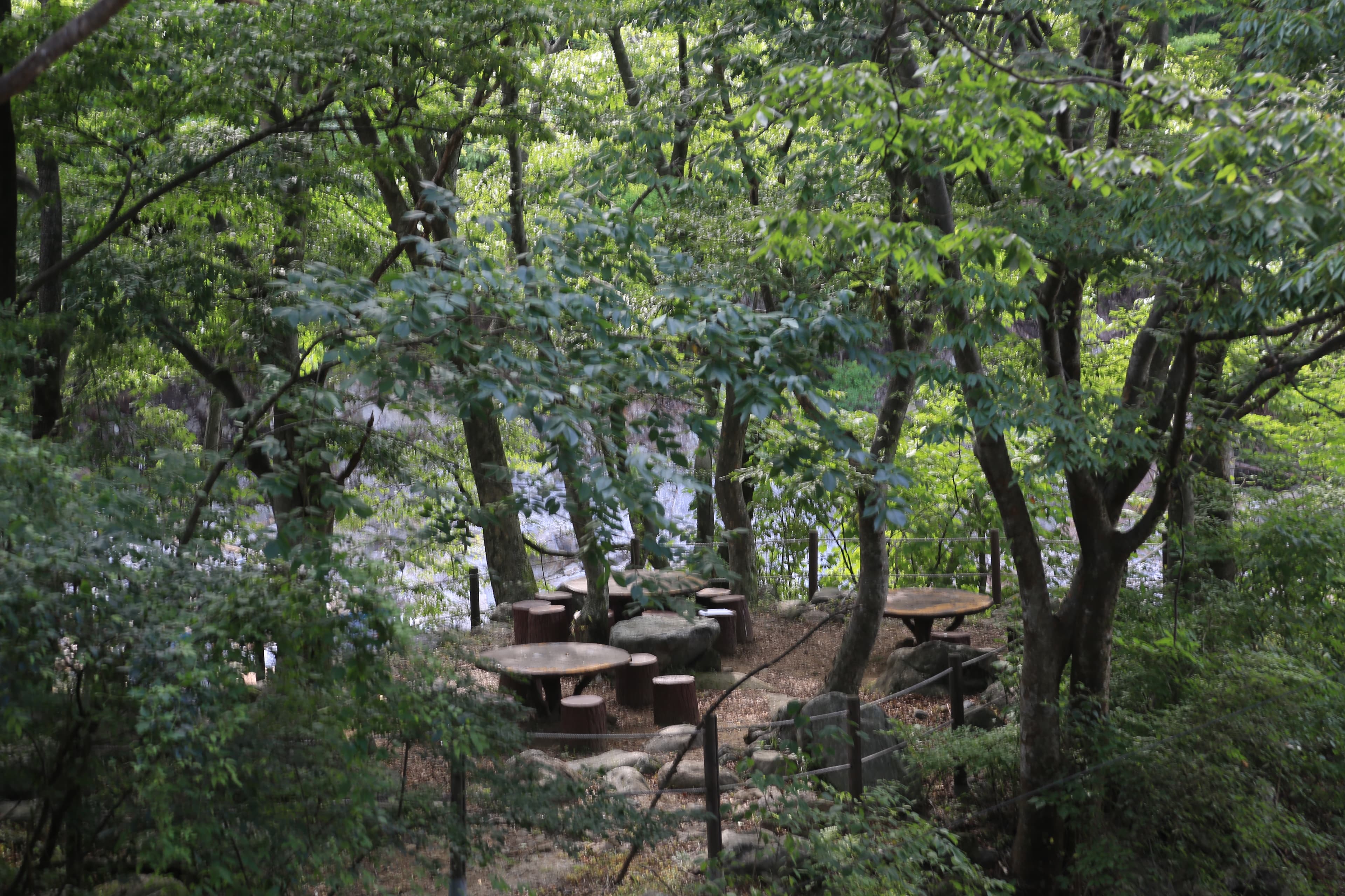 백무동야영장 이미지 3